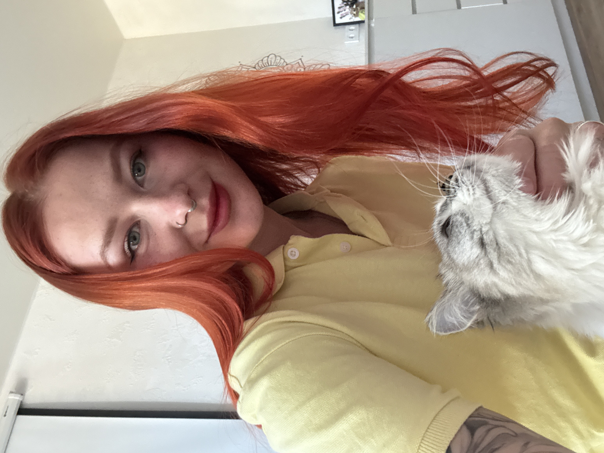 A fair-skinned woman with reddish-orange hair, a nose ring, and freckles is holding a grey and white fluffy cat. The woman is wearing a yellow collared shirt and has a tattoo on her left arm. They are indoors with a white wall behind them. A framed picture and a wall outlet are visible on the wall. The location is not discernible from the image.