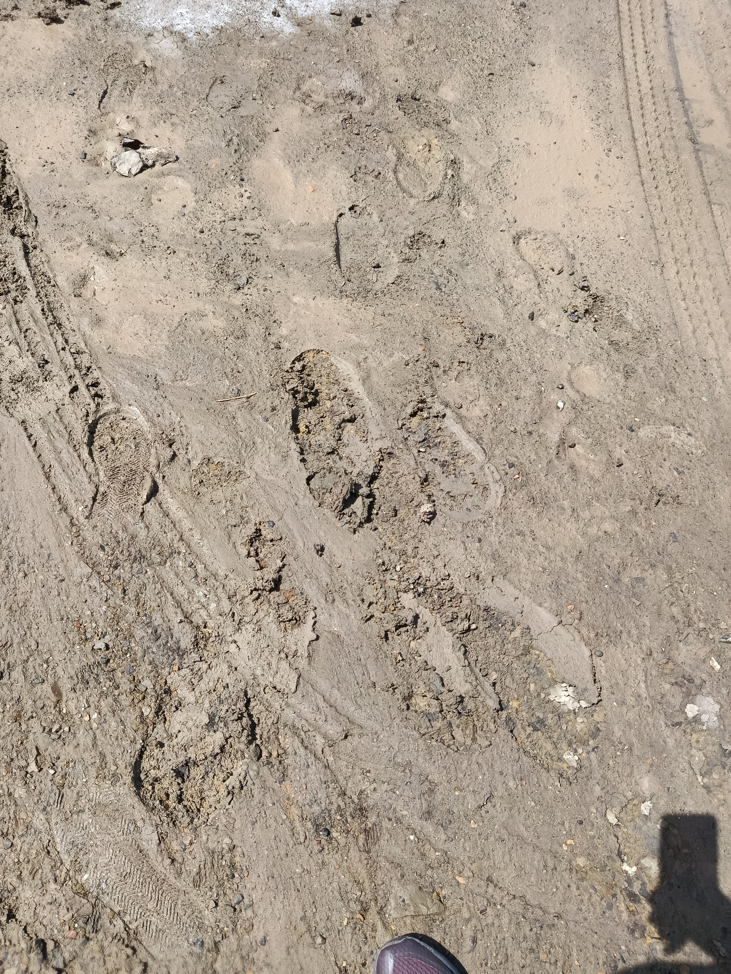The image shows a close-up, aerial view of a dirt path in Juan Griego, Venezuela. The path is wet and muddy, with several distinct footprints and tire tracks visible. The footprints appear to be from shoes, with one clearly showing a patterned sole. The tire tracks are from a vehicle, likely a car or truck, and are impressed into the mud. There are also some small rocks and debris scattered across the path. In the lower right corner, a shadow of a person and their shoe is cast on the ground, suggesting the photographer is standing on the path. The overall scene is one of a well-trafficked, unpaved area that has recently experienced moisture.