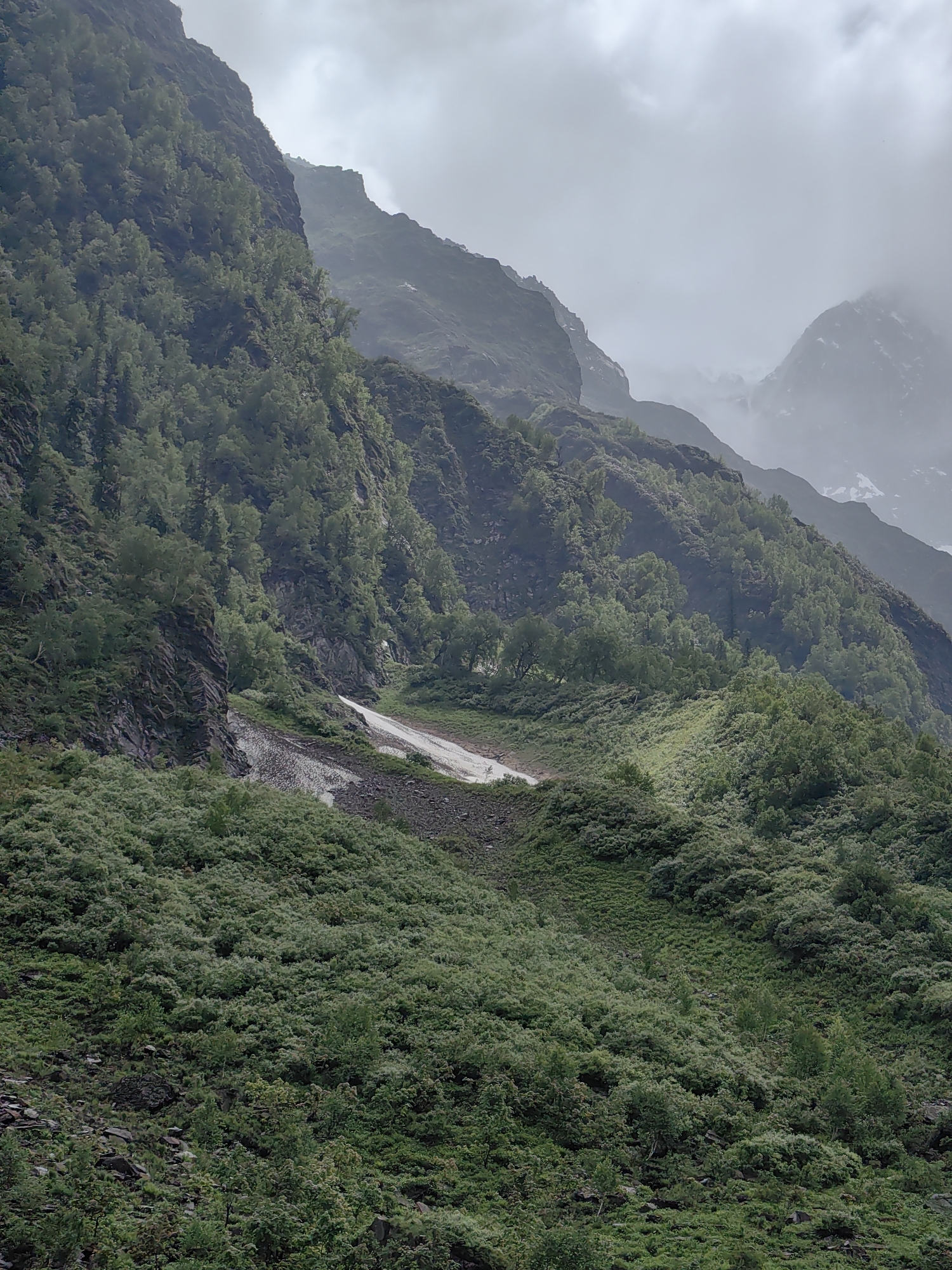 This is a photograph of a mountainous landscape in Dhundi, India, under a cloudy sky. The image features steep, forested slopes and a winding path or road traversing the terrain. The vegetation is dense and green, consisting of trees and shrubbery clinging to the rocky mountainsides. A patch of what appears to be snow or ice is visible on the slope, suggesting a high-altitude location. The overall impression is one of rugged natural beauty, with the muted light from the overcast sky adding to the atmospheric quality of the scene. There are no people or animals visible in the image.