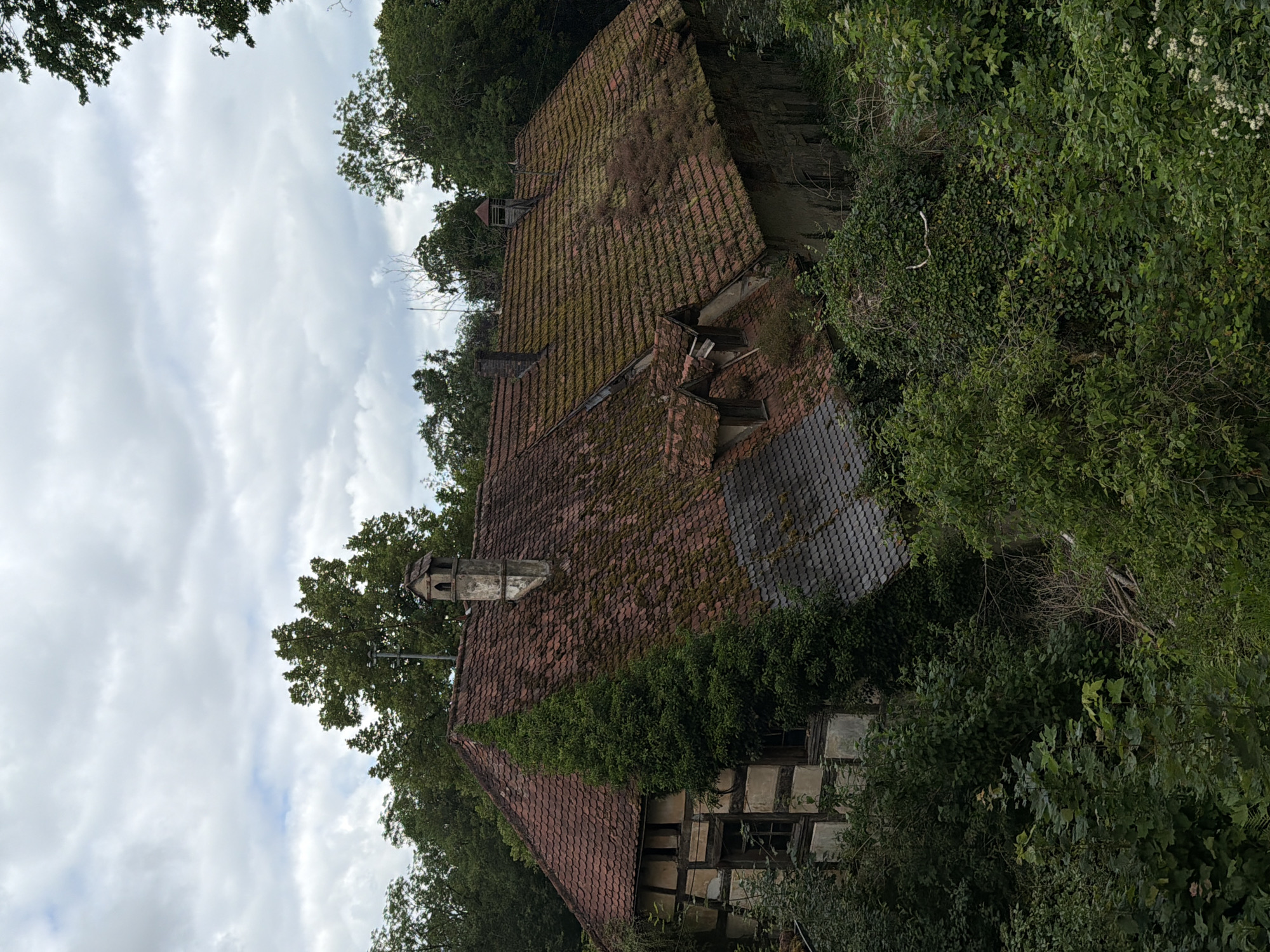The image depicts a dilapidated, overgrown building, likely an old farmhouse or residential structure, nestled amidst dense greenery. The building features a red-tiled roof, partially covered in moss and with some sections showing damage or missing tiles. There are visible dormer windows on the roof and at least two chimneys. The facade of the building shows a traditional half-timbered construction style, with exposed wooden beams and infill panels. Ivy and other vegetation aggressively climb the walls and the roof, obscuring parts of the structure and contributing to the overall impression of abandonment and decay. The surrounding environment is a thick forest or dense garden, with abundant trees and shrubs obscuring the base of the building and the ground. The sky is overcast with grey clouds. The image does not show any people, animals, or signs of recent activity. The specific location in Heiligenstadt i. OFr., Germany, is not visually identifiable from the image itself, but the architectural style suggests a European setting.