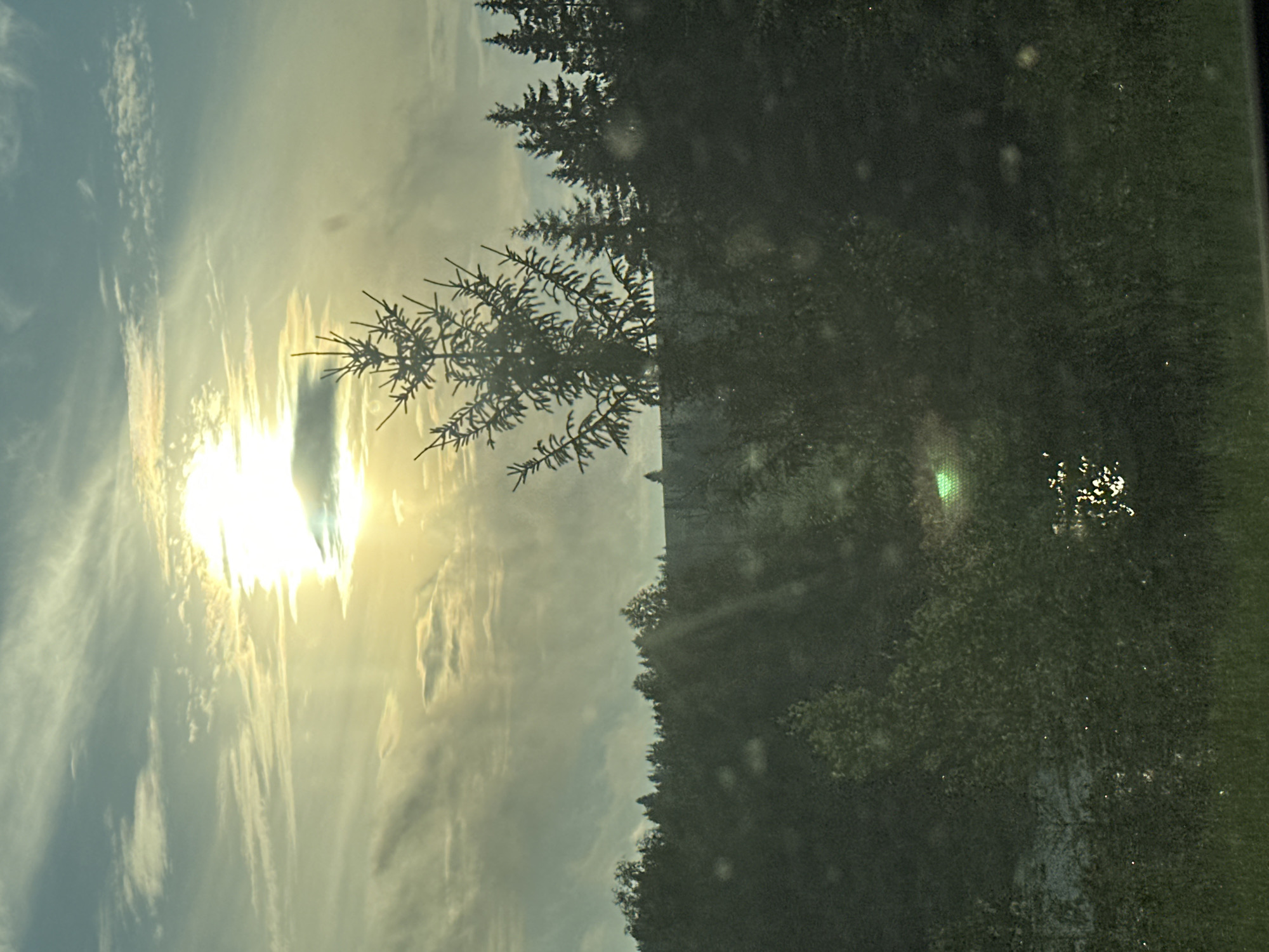 The image captures a scenic view of a sunlit sky with scattered clouds over a dense forest. The sun, a bright orb, is partially obscured by clouds, casting rays of light downwards. In the foreground, silhouettes of pine trees are visible against the brighter sky. The lower portion of the image shows a dark, dense woodland, with some lighter patches possibly indicating water or a clearing. The overall impression is of a natural landscape bathed in the soft glow of sunlight. The location is identified as Buranovo, Russia.