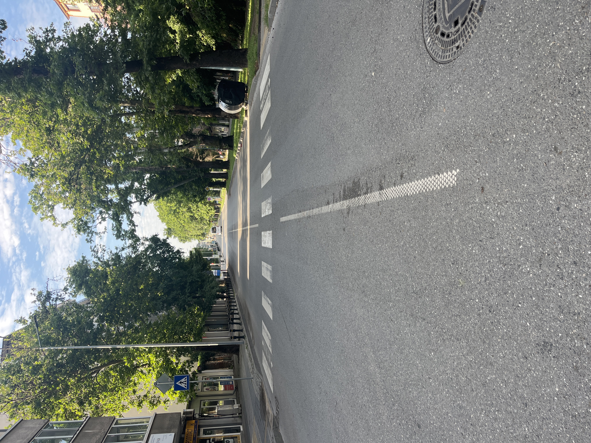 The image captures a ground-level perspective of a wide, asphalt street in Plovdiv, Bulgaria, on a clear daytime. The street features a prominent pedestrian crosswalk with four white stripes in the foreground and a dashed white center line extending into the distance. A circular metal manhole cover is visible on the asphalt in the bottom right.
On the left side of the street, a paved sidewalk runs alongside multiple-story buildings. Shopfronts are visible at ground level, one displaying "ПРОПЛАСТ" in Cyrillic. A tall metallic street light pole stands near the foreground, adjacent to a blue square road sign indicating a pedestrian crossing. A row of dark, short bollards lines the sidewalk further down the street. A dense canopy of tall, mature trees with green foliage lines this side, partially obscuring the buildings.
On the right side of the street, a broad sidewalk or grass verge is bordered by a continuous line of tall, mature trees with vibrant green leaves. A large, dark, barrel-shaped wheeled trash bin is positioned on the verge in the mid-ground.
The street recedes into the distance, where a white van or similar vehicle is faintly visible. The background is dominated by a bright blue sky with scattered white cumulus clouds. No individuals are discernible in the scene.