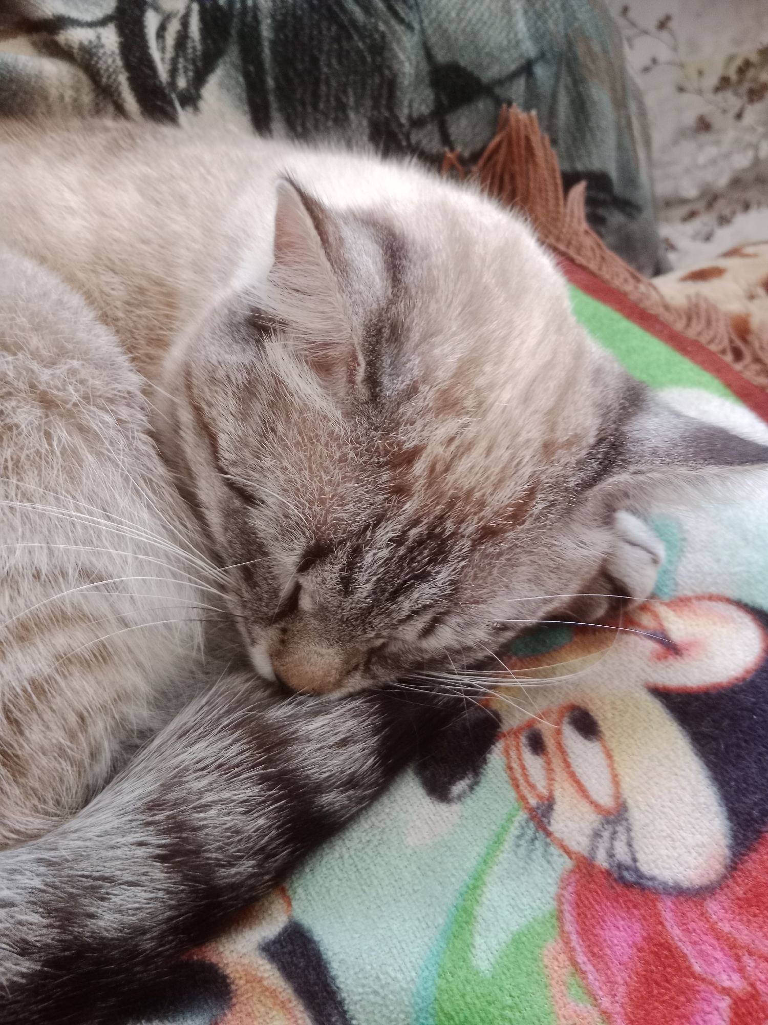 A close-up shot shows a tabby cat sleeping curled up on a colorful blanket featuring cartoon characters. The cat's fur is a mix of light brown and gray stripes, with white whiskers visible. Its eyes are closed, and its head is resting on its paw. The blanket is patterned with light blue, green, red, and orange, with cartoon faces peeking out. The background is blurred, with hints of other soft furnishings, suggesting an indoor setting. The location provided, Макаров ауылдық округі, Kazakhstan, is irrelevant to the visual content of the image.