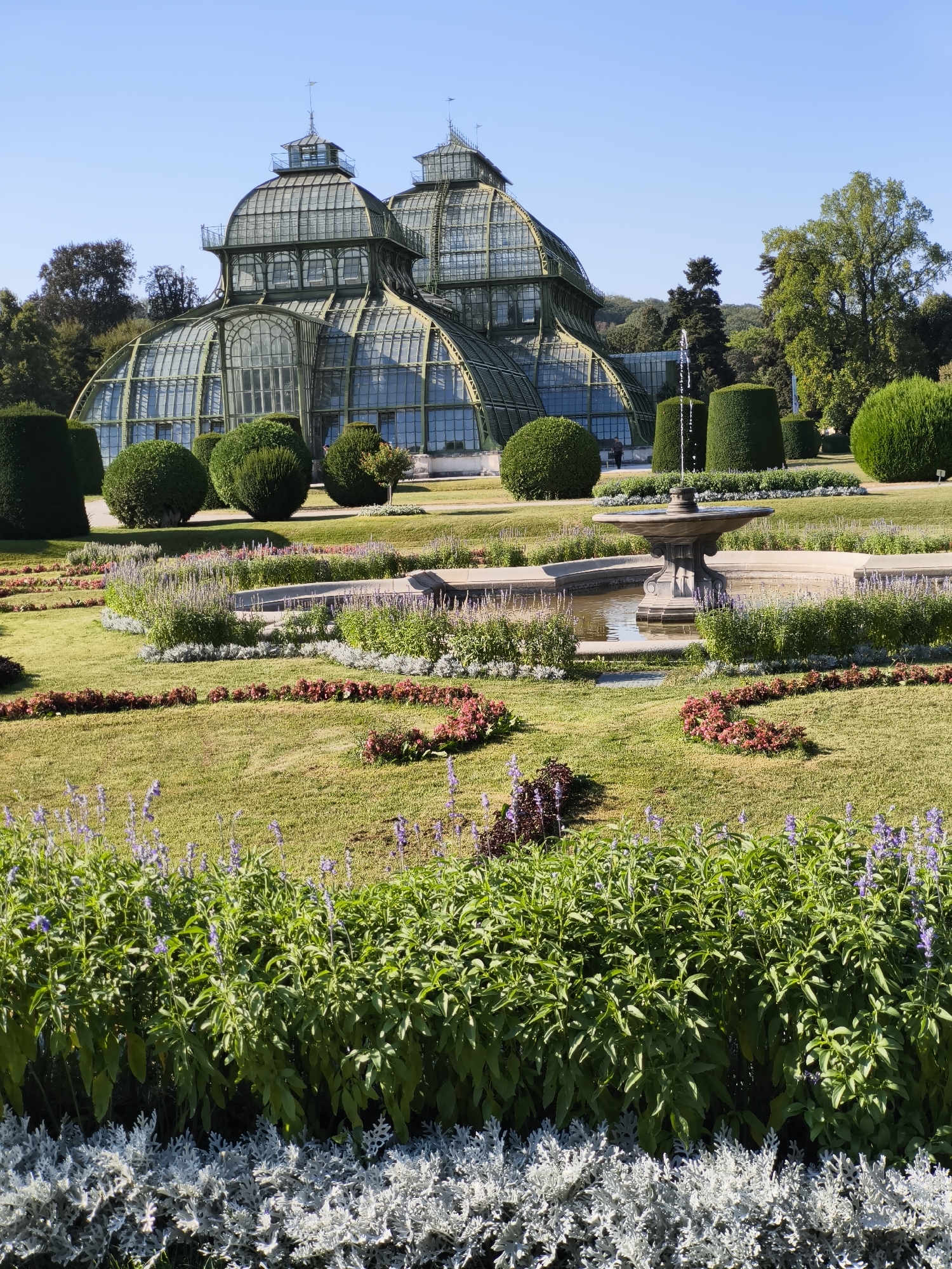 The image depicts the exterior of the Palm House at Schönbrunn Palace in Vienna, Austria, a large Art Nouveau greenhouse constructed from iron and glass. The greenhouse features multiple domed sections and is surrounded by a meticulously landscaped garden. In the foreground, a formal garden displays colorful flower beds and lush green lawns. A stone fountain with water spraying upwards is situated in the middle ground. Several perfectly manicured, conical topiaries and rounded bushes are strategically placed throughout the garden. In the background, mature trees and a clear blue sky complete the scene. A single person is visible walking near the greenhouse. The overall impression is one of grandeur and horticultural excellence on a sunny day.