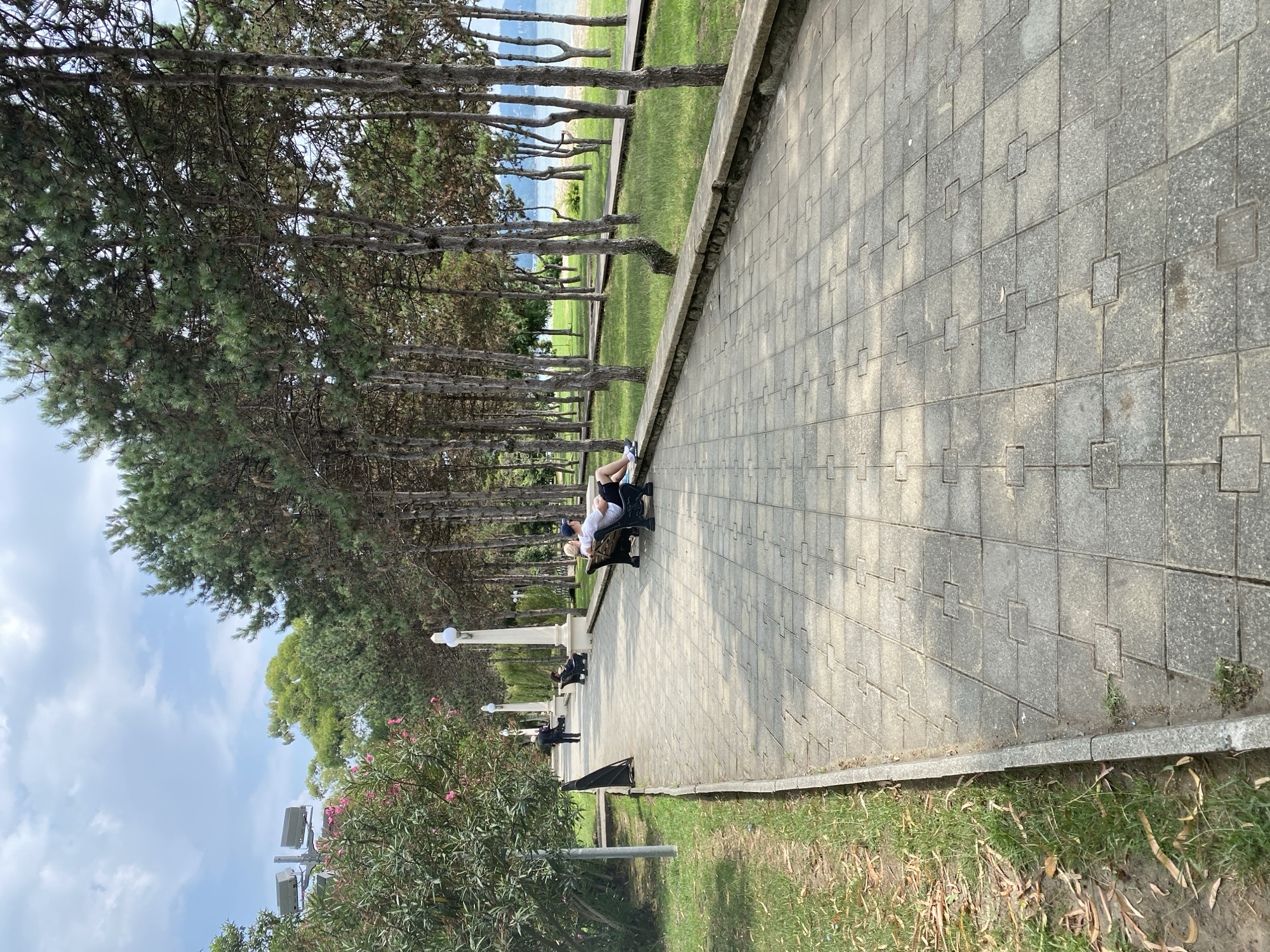 A paved walkway lined with trees runs parallel to a grassy area and a body of water in Sokhumi, Abkhazia. On the walkway, two people are seated on a bench, facing away from the camera. One person is wearing a white t-shirt and dark shorts, with a blue cap. The other person appears to be wearing a dark shirt and light-colored bottoms. Further down the walkway, another person is walking away from the camera. The environment includes lush green trees with tall, thin trunks, a clear blue sky with scattered clouds, and a hint of a beach or waterfront in the distance. The walkway is made of grey square paving stones.
