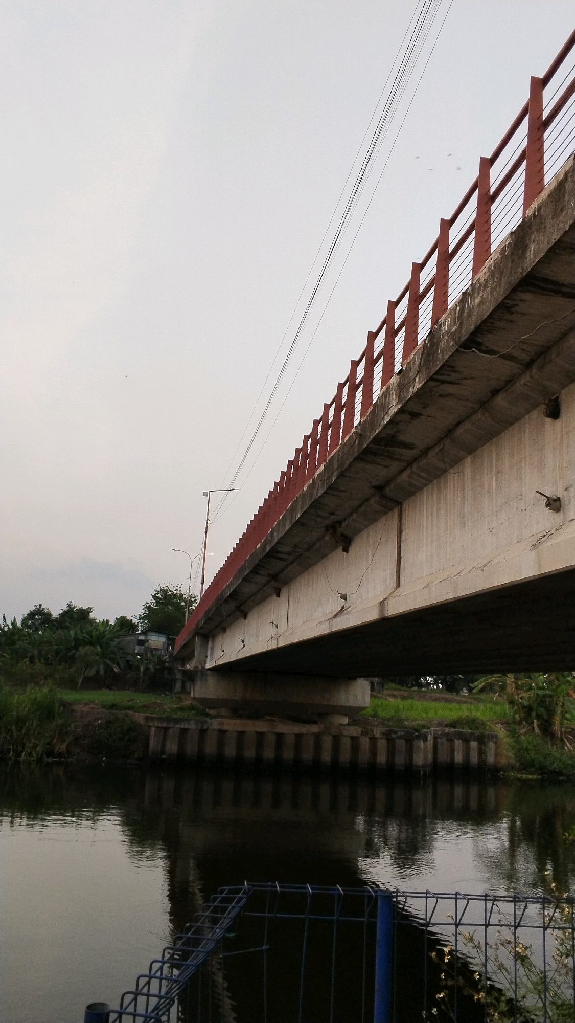 The image shows a concrete bridge with a red railing, spanning over a body of dark, reflective water. The bridge is supported by concrete pillars. On the left bank of the water, there are trees and some buildings, suggesting a semi-urban or rural setting. The sky is overcast and pale. The scene is located in Pulorejo, Indonesia. The water's surface is disturbed by ripples, and a dark, metallic fence is visible in the foreground. The bridge shows signs of wear and tear, with visible cracks on the concrete.