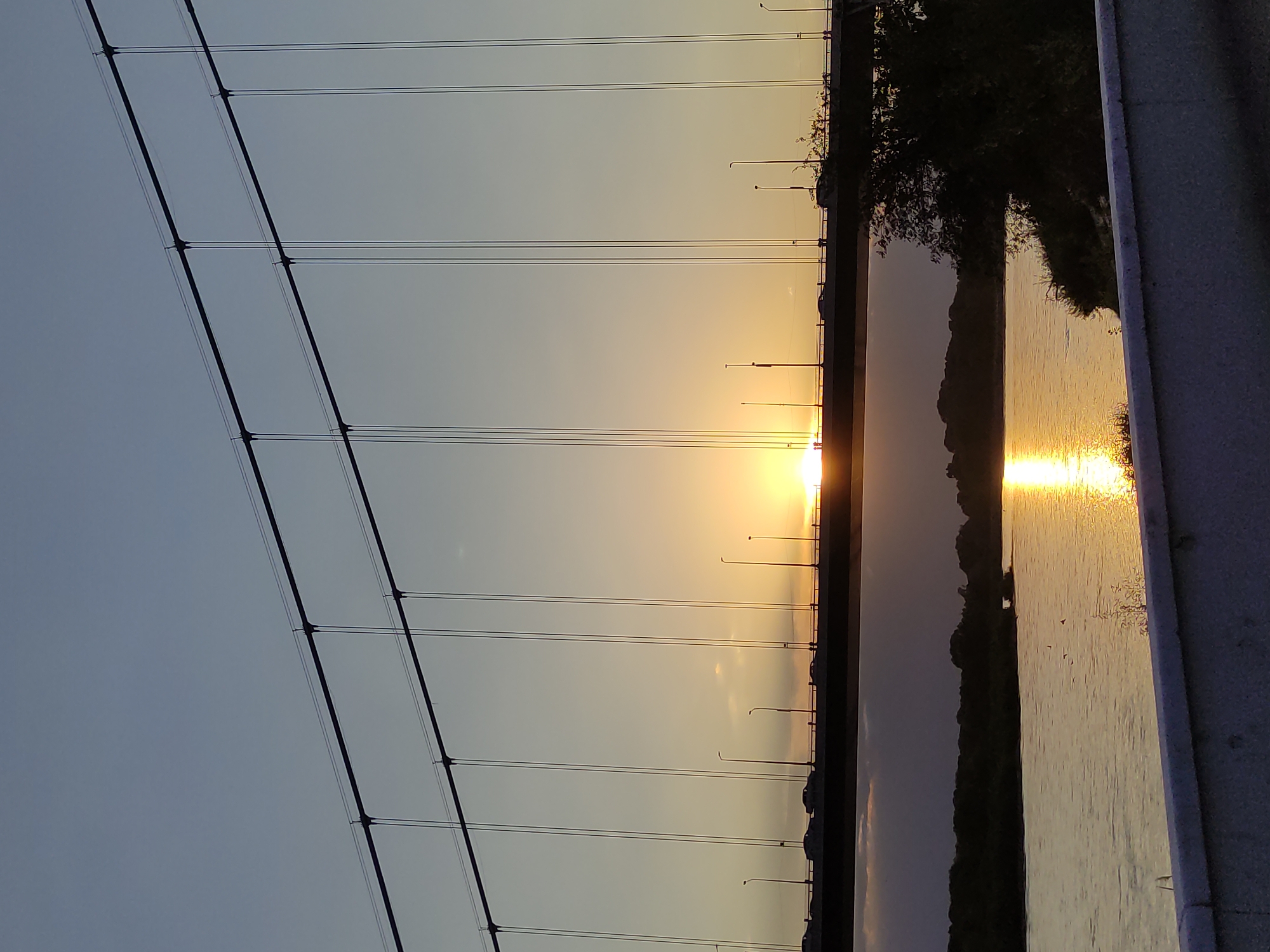 This is a photograph of a bridge over the Irtysh River at sunset in Semey, Kazakhstan. The sun is low on the horizon, casting a golden glow on the water and the sky. The bridge, a suspension bridge, is visible in the foreground, with cars driving across it. The river is wide and calm, reflecting the colors of the sunset. Trees line the banks of the river, and a few small birds are visible in the water. The overall mood of the photograph is peaceful and serene.