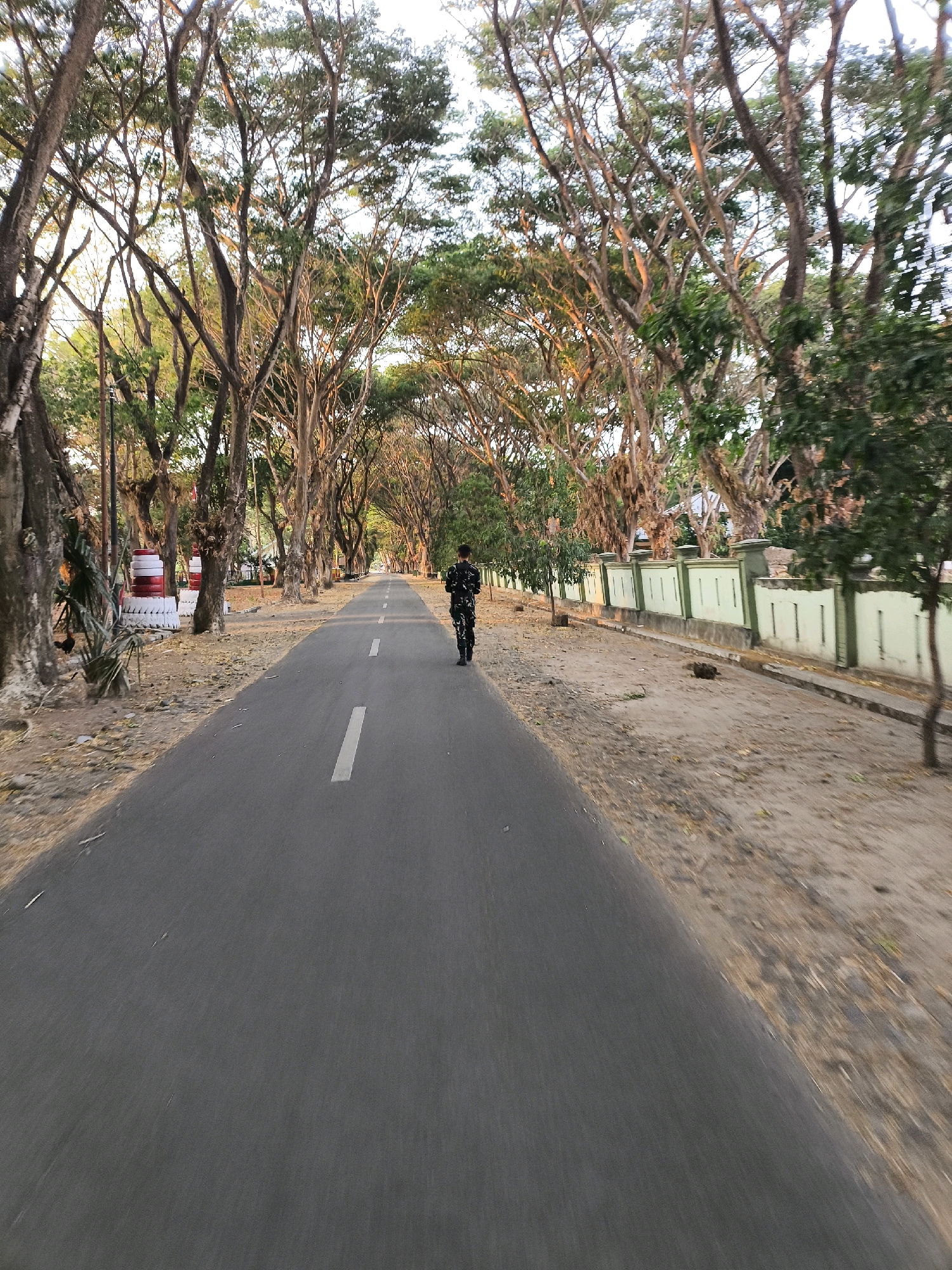 The image captures a person in camouflage uniform walking away from the camera down a long, straight asphalt road lined with mature trees on both sides. The trees form a canopy overhead, with sunlight filtering through their branches, casting dappled shadows on the road and surrounding sandy ground. The area to the right of the road features a light green fence with vertical posts, and a dry, grassy embankment. To the left of the road, there are more trees, some with thick trunks, and a pile of stacked tires with red and white markings. The overall environment appears to be an outdoor setting, possibly a park or a quiet street within a city in Indonesia, given the presence of lush vegetation and the specific style of the fence. The sky is visible above the trees, suggesting it is daytime.