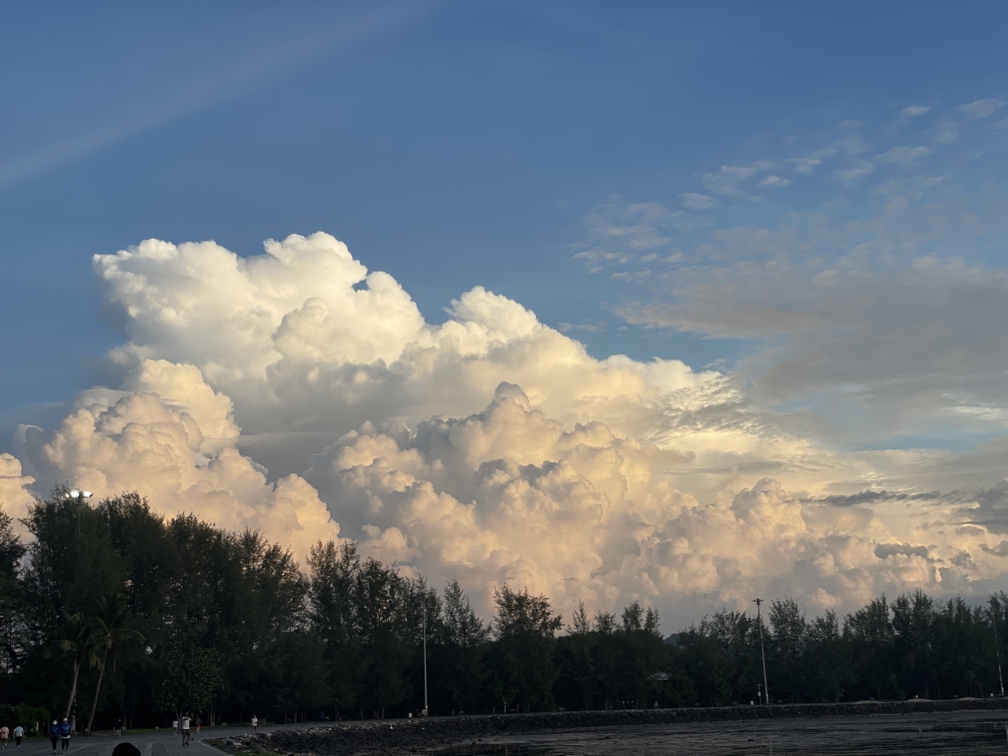 The image depicts a scenic view of the sky over a coastal area in Phuket City Municipality, Thailand. The sky is dominated by dramatic cumulonimbus clouds, illuminated by the golden hues of what appears to be either sunrise or sunset. These large, towering clouds are a mix of bright white and soft orange, suggesting the warm light is catching their upper surfaces. Below the clouds, a line of dark green trees forms a natural barrier, interspersed with a few taller palm trees on the left. A paved walkway runs along the edge of the trees, where several individuals are seen walking or jogging. The walkway overlooks a dark, textured surface, possibly a body of water or wet sand, and a rocky shoreline. A streetlamp is visible among the trees, providing artificial light. The overall atmosphere is serene and natural, capturing the beauty of the sky and the coastal landscape.