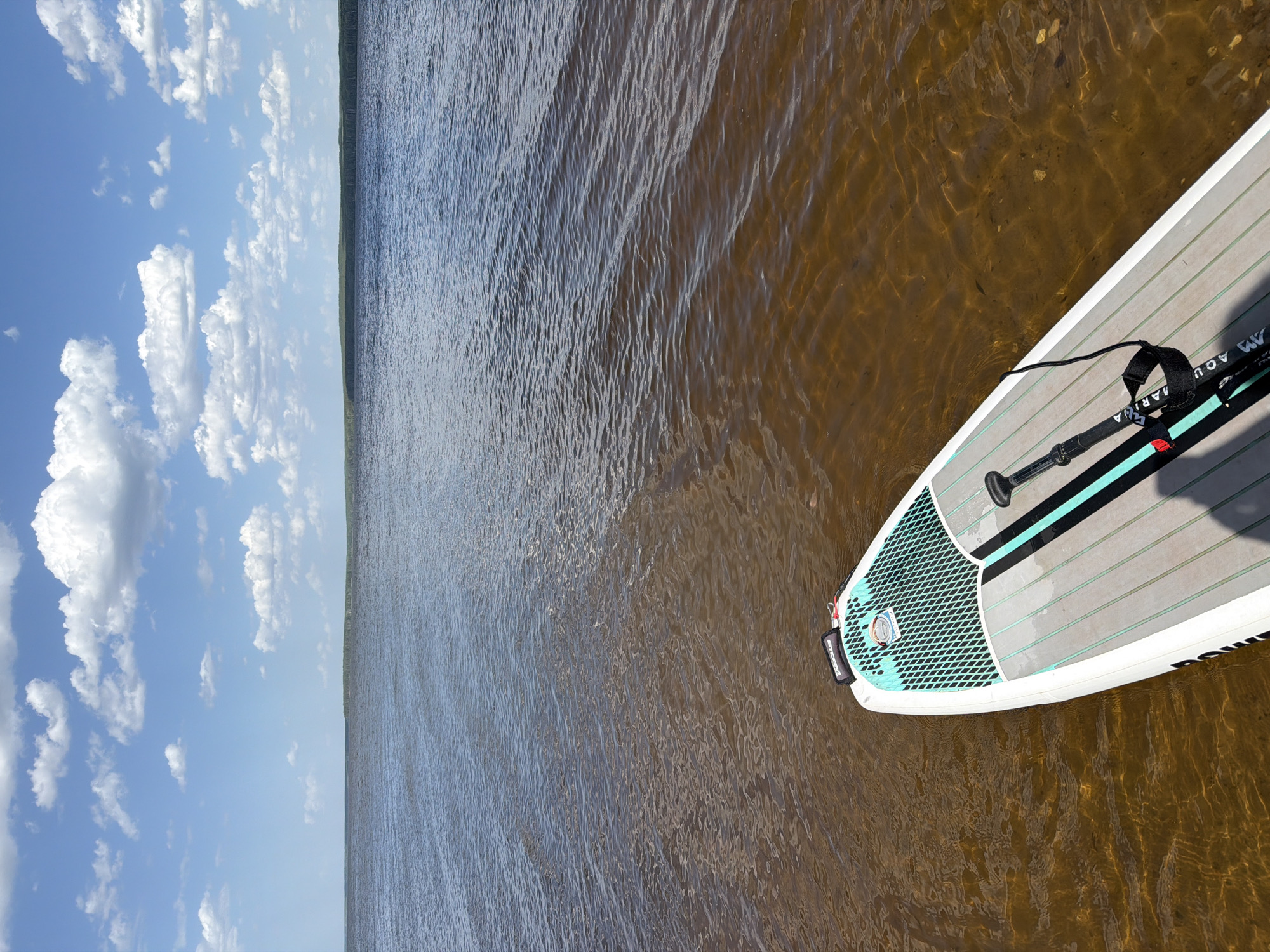 The image depicts a calm body of water adjacent to a grassy shoreline, with a clear sky exhibiting scattered cumulus clouds. A paddleboard rests on the water's surface. The water appears to be shallow and clear, with a light brown hue, allowing glimpses of the bottom. The paddleboard is light-colored, with grey and blue accents and a black paddle laying on the deck. The photo was taken in the city of Chaikovsky, Russia.