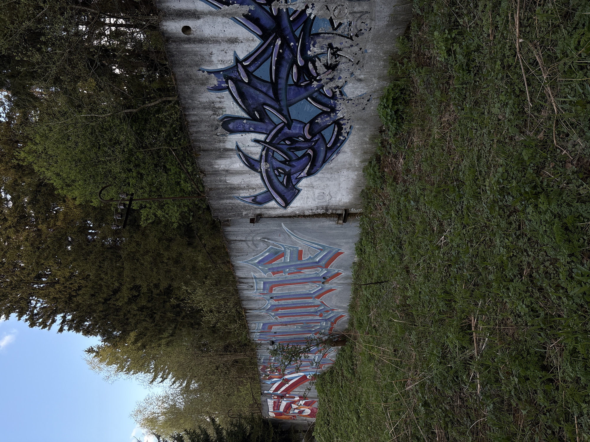 The image shows a concrete wall covered in graffiti. The wall is flanked by trees and tall grass, suggesting a location in a wooded area. There are two prominent graffiti pieces: a blue and purple abstract design and a block-letter design with red, white, and blue colors. The image's perspective shows the wall extending into the distance, indicating a long, potentially tunnel-like structure. There are no people visible in the image. The scene appears to be in an urban environment, but there's no additional information to confirm that it's located in the city of Chaikovsky, Russia.