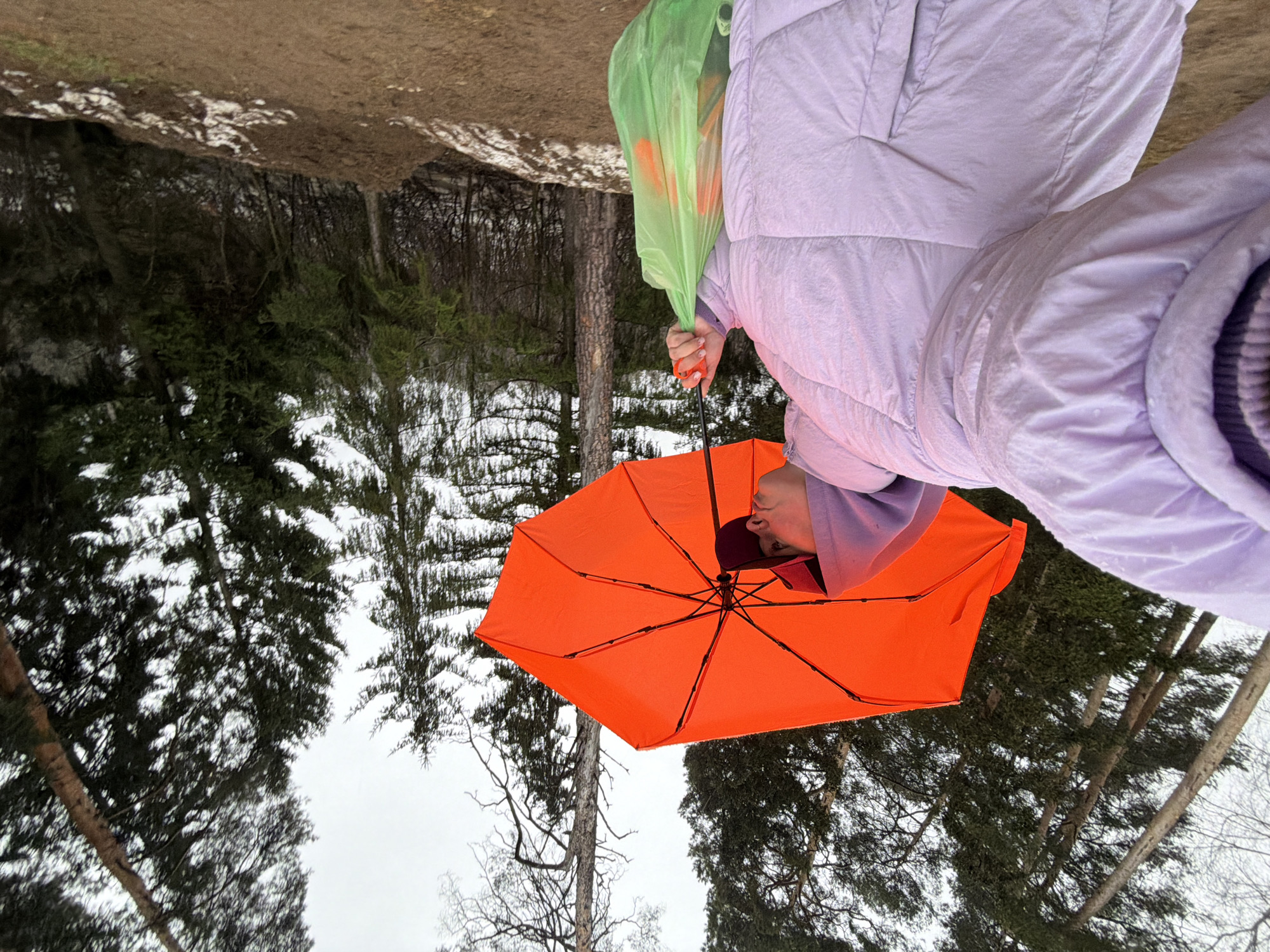 A person wearing a lavender jacket and holding an orange umbrella and a green plastic bag is in a forest. Tall trees with bare branches and evergreen trees are visible in the background, along with a patch of dirt or snow-covered ground. The location is Chaikovsky, Russia.