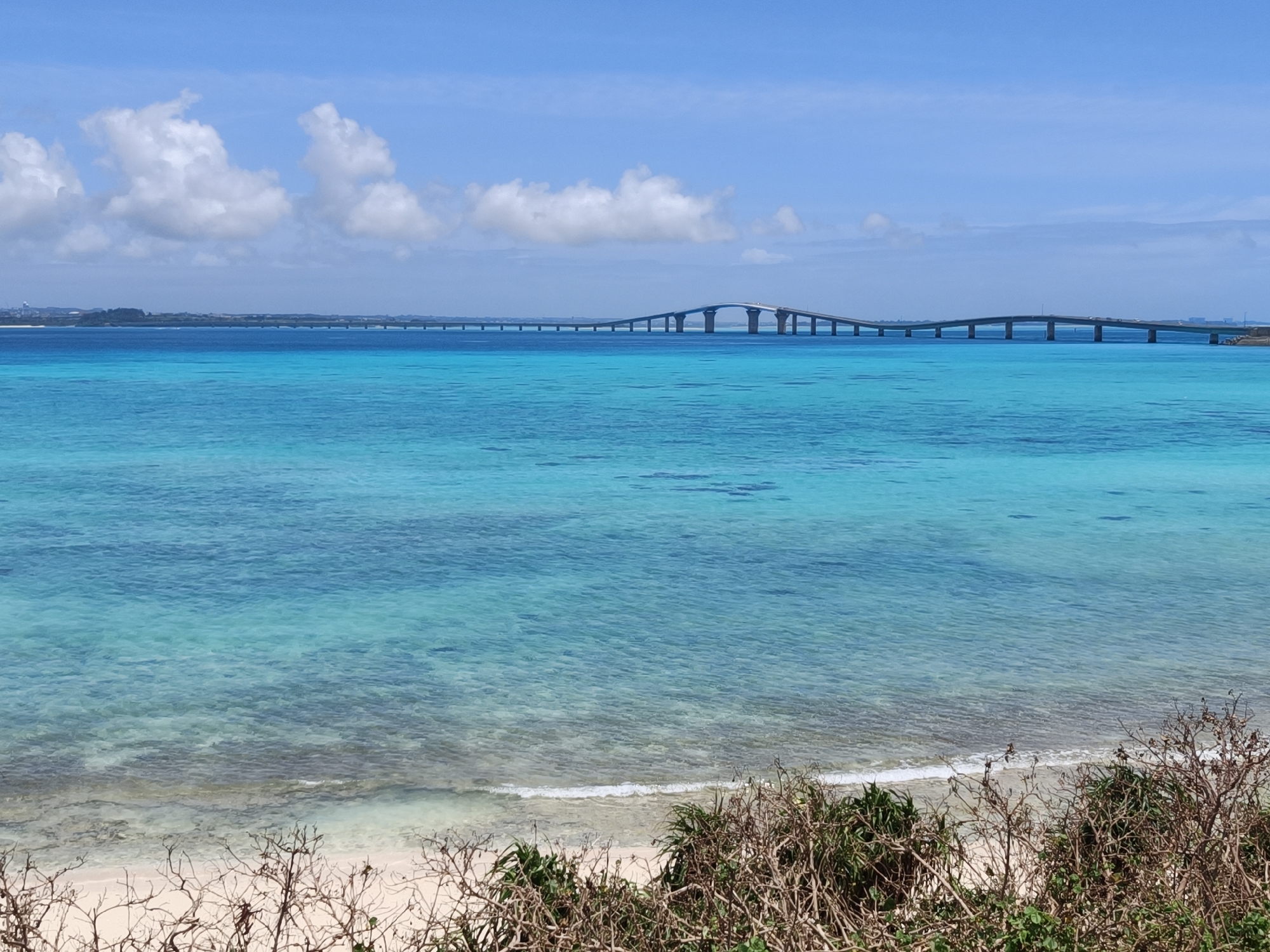 This is a wide shot of the ocean and a long bridge in Miyakojima, Japan. The ocean is a vibrant turquoise color, with shallow areas near the shore revealing a sandy bottom. White waves gently lap at a small, sandy beach in the foreground, which is partially obscured by dry, brown shrubbery. In the distance, a long, elevated bridge stretches across the water, connecting landmasses. The bridge has a series of pillars supporting its arched structure. The sky above is a clear blue, dotted with fluffy white clouds. The overall scene conveys a sense of tropical beauty and serenity.