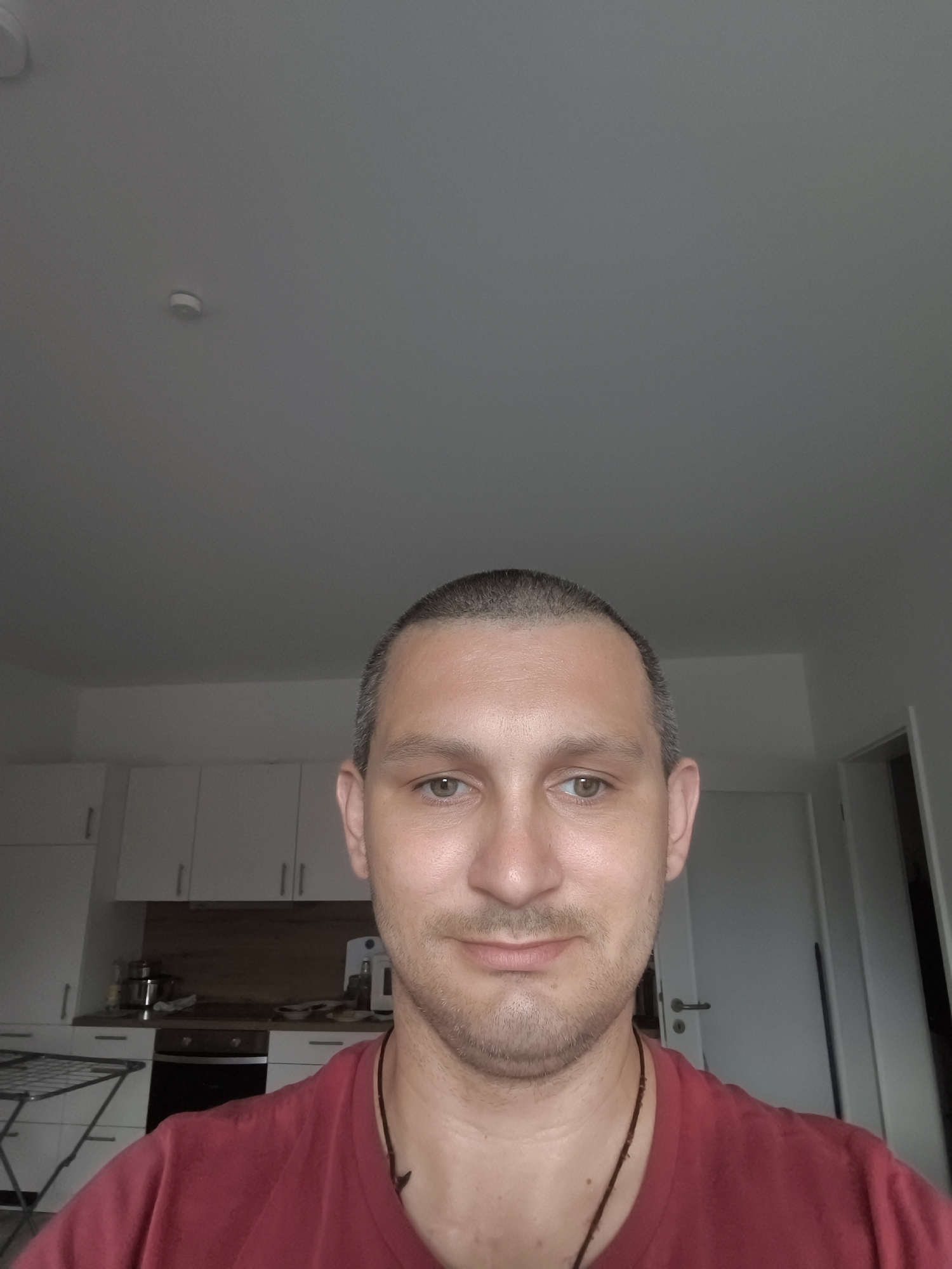 The image shows a medium shot of a fair-skinned man with short, dark hair and light brown eyes. He is wearing a red t-shirt and a dark necklace. He is smiling faintly and looking at the camera. The background appears to be an indoor setting, possibly a kitchen, with white cabinets and a countertop. There is a light fixture on the ceiling. The image quality is slightly grainy. There is no visible indication of the city of Wolgast, Germany.