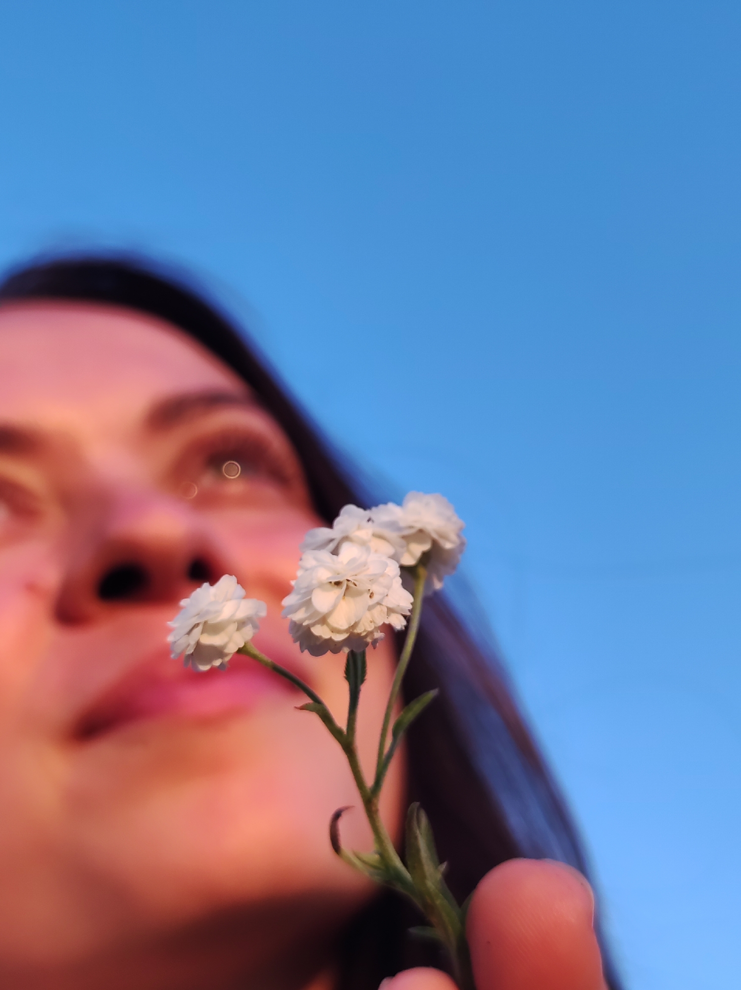 A low-angle shot captures a person holding a stem with three small white flowers in the foreground. The person's face, in soft focus, is tilted upwards, with their eyes visible but not clearly defined. The background is a clear blue sky, suggesting an outdoor setting. The lighting casts a warm pink hue on the person's skin. The image does not contain any identifiable landmarks or information to suggest a specific location within the city of Фоки, Russia.
