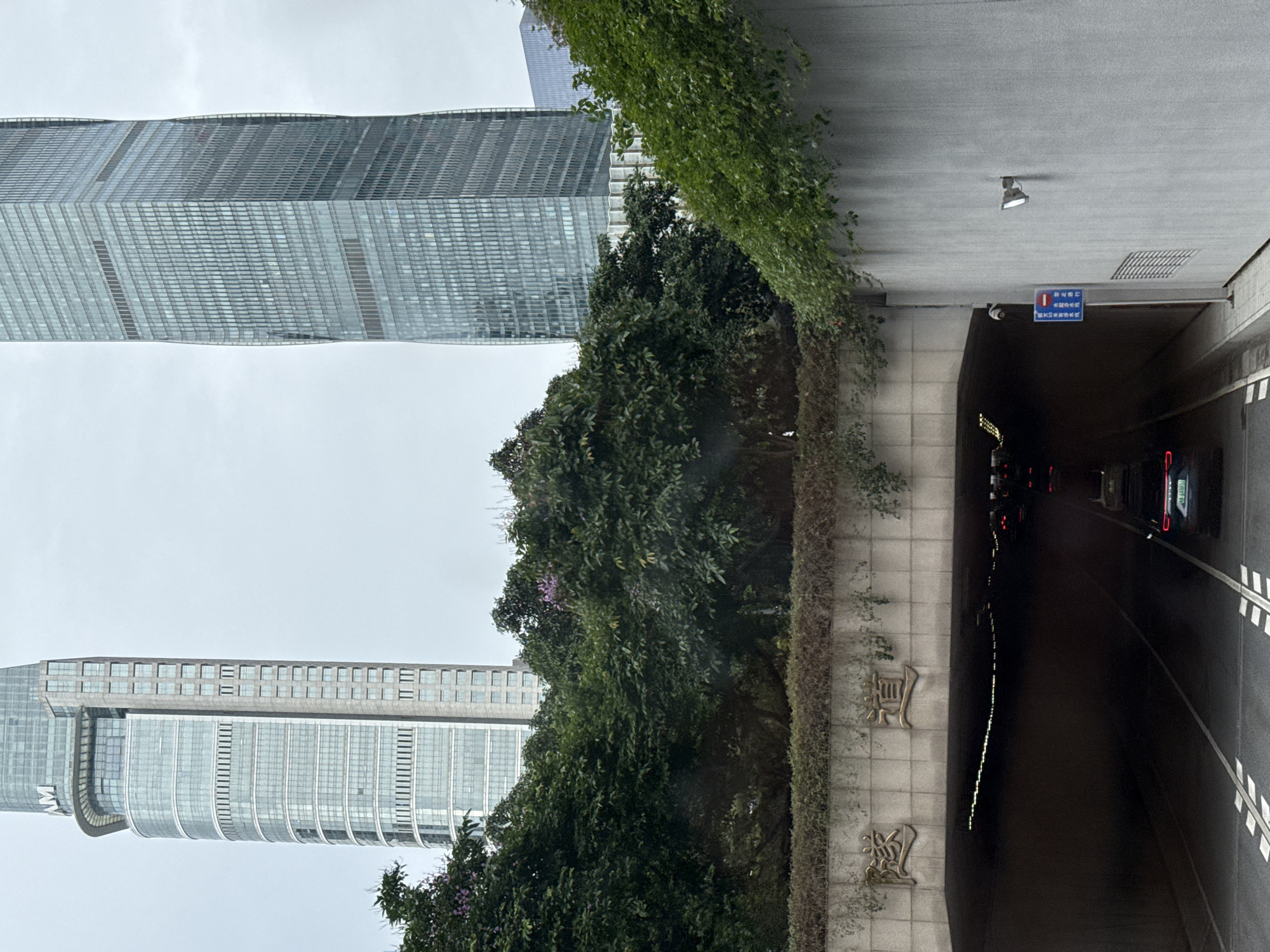 The image depicts a street scene in Tianhe District, China, with a tunnel entrance on the right. Lush greenery and vines cover parts of the tunnel's facade and a retaining wall. Two skyscrapers rise in the background. Cars are driving through the tunnel. Chinese characters are visible on the wall near the tunnel entrance. A street light and traffic sign are mounted under the tunnel ceiling. The sky is overcast.
