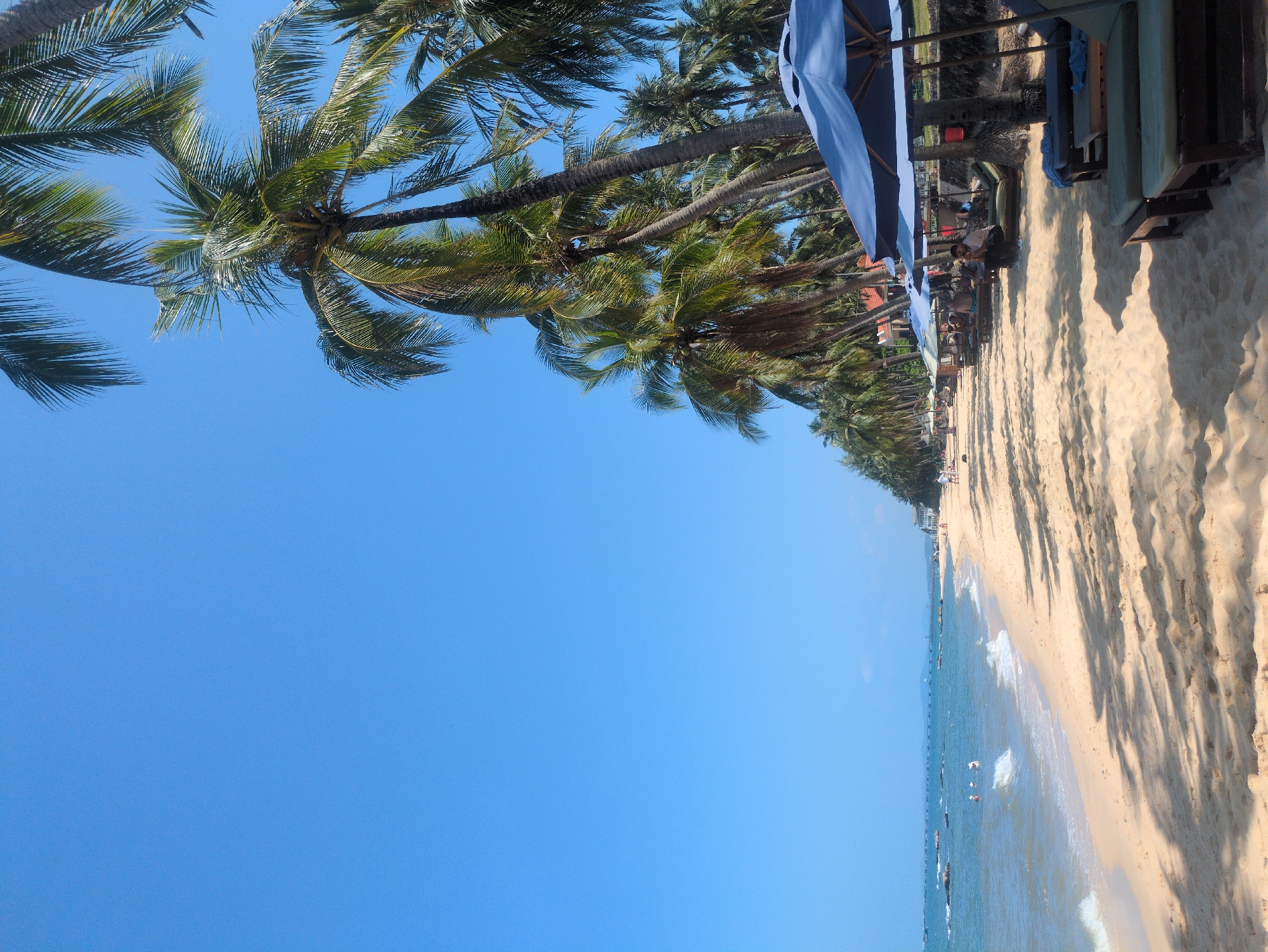 The image depicts a beach scene in Phú Quốc, Vietnam. A line of palm trees borders the sandy beach, with their shadows stretching across the sand. Blue beach umbrellas and lounge chairs are set up for visitors. The clear blue sky meets the ocean, where gentle waves break along the shore. A few boats are visible in the distance. People are scattered along the beach.