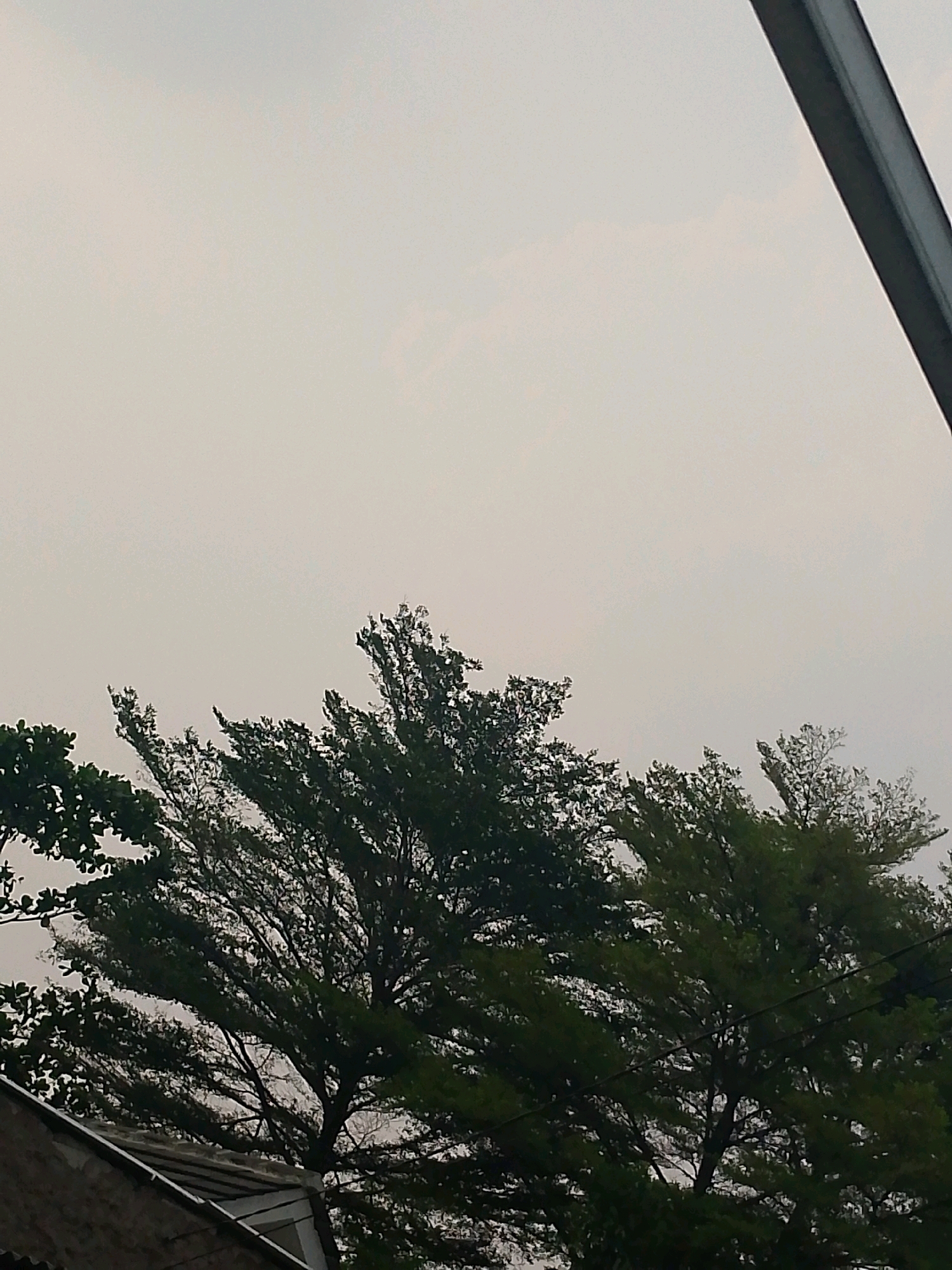 The image captures a view of trees against a hazy, overcast sky, with a hint of a building in the lower left corner. A dark, angled structure, possibly a piece of infrastructure or part of a building, is visible in the upper right portion of the frame. The foliage of the trees appears dense and green, with some branches silhouetted against the pale sky. The overall atmosphere suggests a muted or diffused natural light, possibly due to cloud cover or atmospheric conditions. The location is specified as Klapanunggal, Indonesia. There are no people or animals visible in the image.