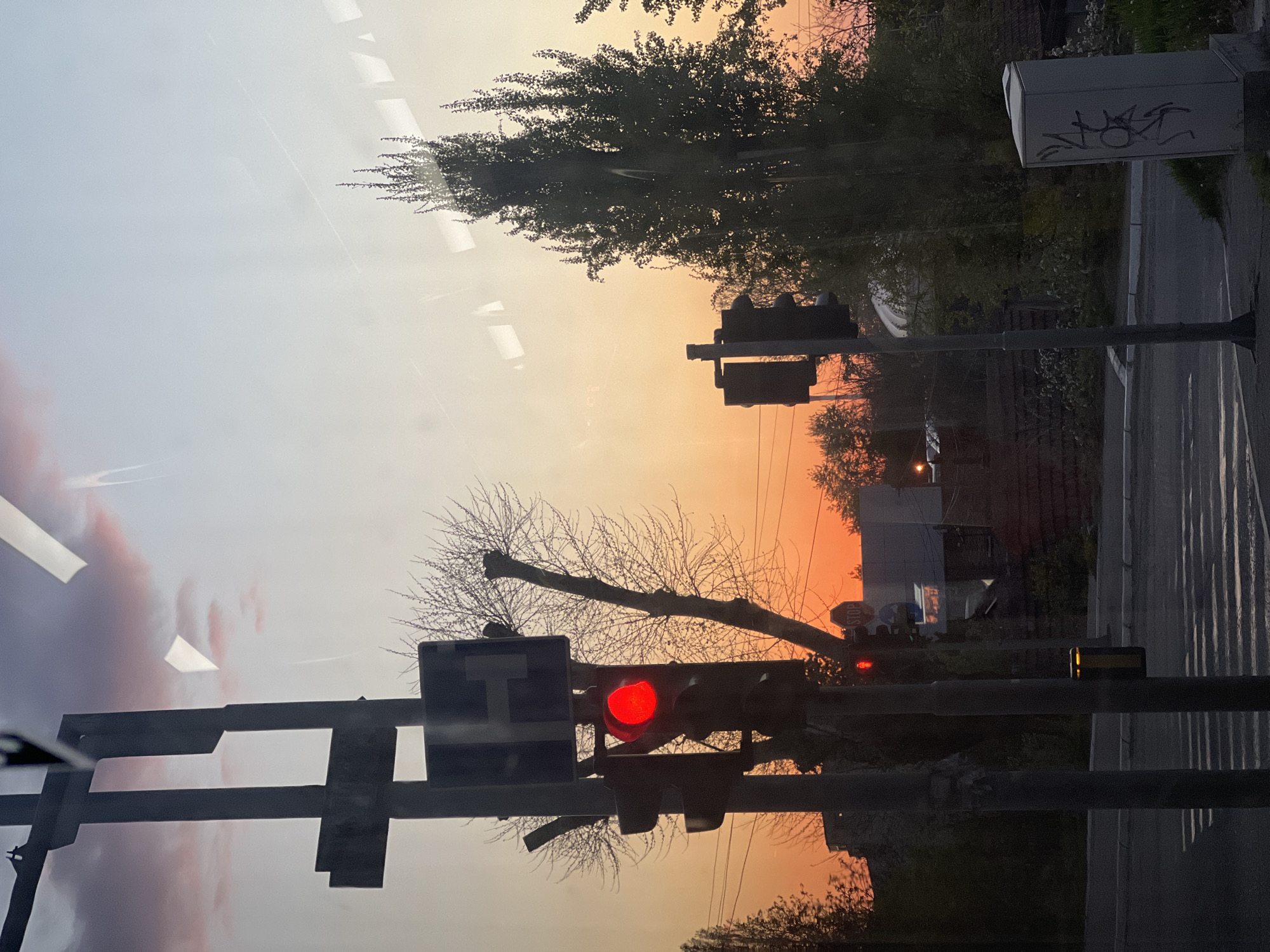 The image depicts a view of a street scene through what appears to be a window, possibly from inside a vehicle. In the foreground, a traffic light is illuminated with a red signal. A street sign with a blue background and white markings is visible next to the traffic light. The background reveals a sunset sky with shades of orange and yellow. Trees are silhouetted against the sky. Across the street, a utility box with graffiti is situated next to a sidewalk and road. Based on the metadata, the location is Palilula Urban Municipality, Serbia. The image captures an urban environment at dusk.