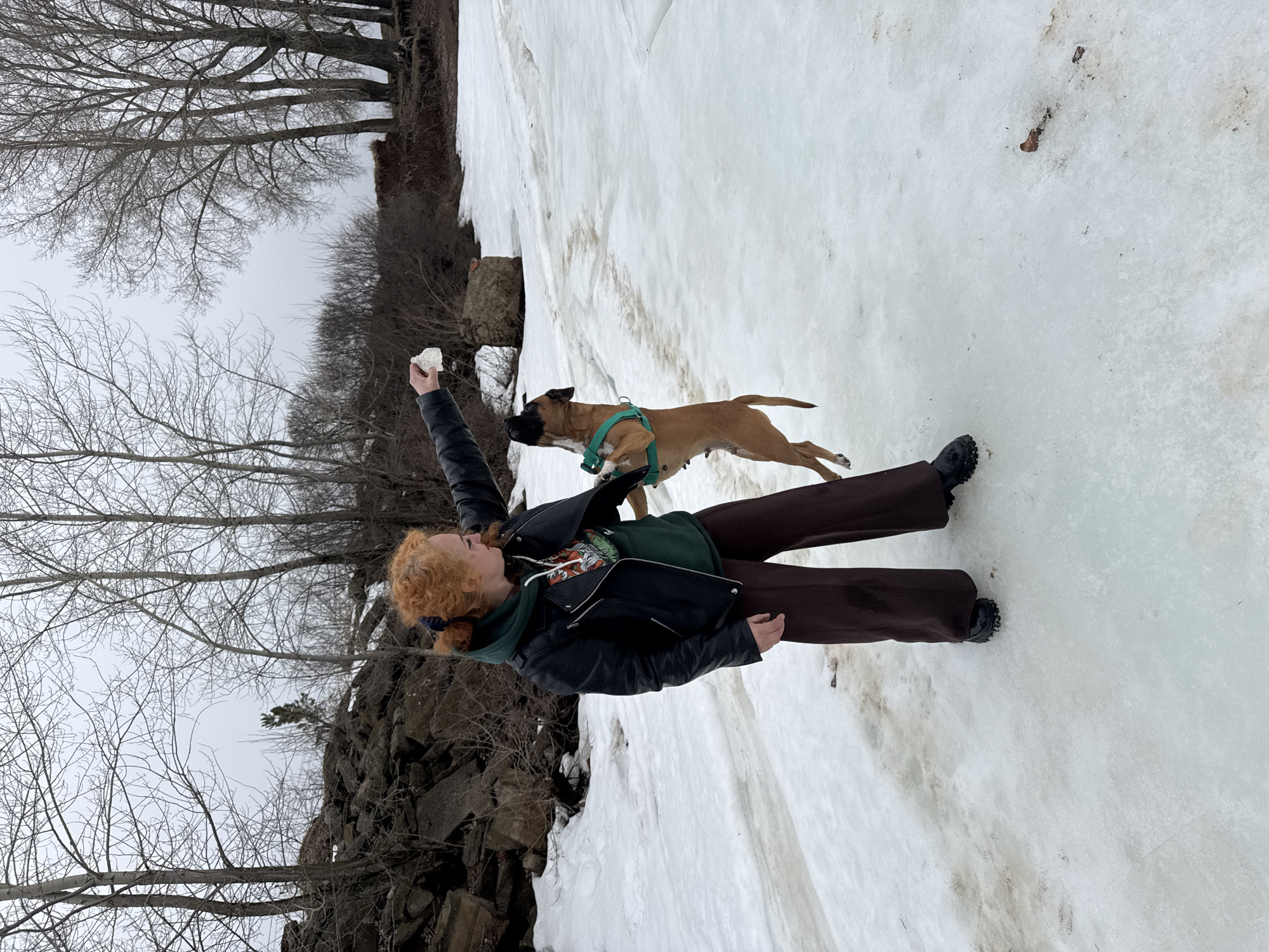 A woman with reddish-blonde hair stands in a snowy area, seemingly in the act of throwing a snowball. A brown dog wearing a teal harness is mid-jump, presumably chasing the snowball. The woman is wearing a black jacket, a green hoodie, and brown pants, with black shoes. The background consists of trees and rocky terrain. Given the presence of snow and trees, the setting is likely outdoors. The presence of the city of Chaikovsky, Russia is not verifiable from the image.