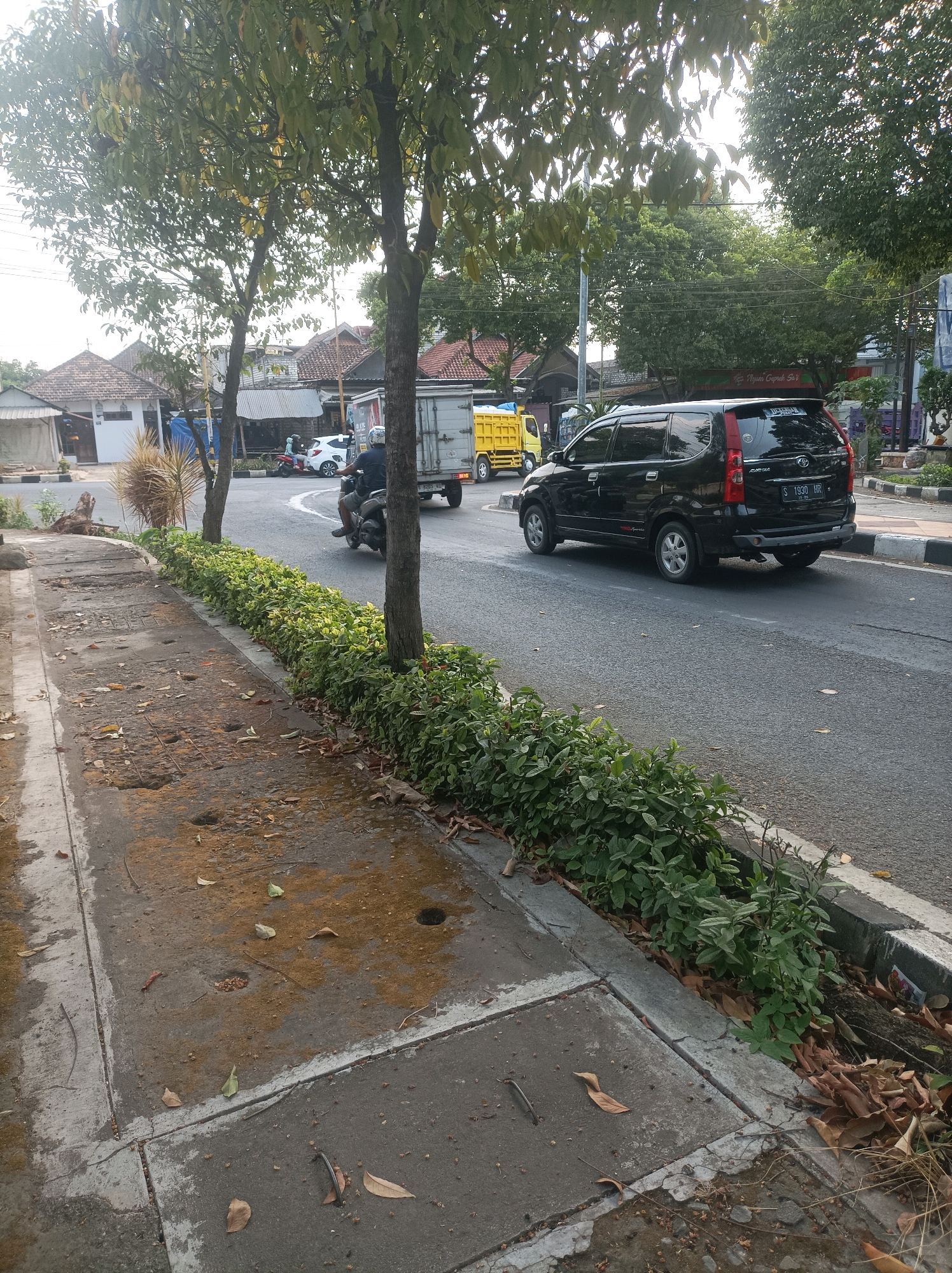 The image depicts a street scene in Semanding, Indonesia, under what appears to be daylight conditions with soft lighting suggesting either early morning or late afternoon. A black SUV is traveling on the right side of the road, with its rear facing the camera. To the left of the SUV, a yellow truck is also moving on the road. Further down the road, a person is riding a motorcycle. The road is bordered by a sidewalk on the left, which shows signs of wear and has scattered leaves and debris. A neatly trimmed green hedge runs along the edge of the road, separating it from the sidewalk. Trees with green foliage are present, with one prominently featured in the foreground on the left, and others contributing to the background greenery. Buildings, some with tiled roofs, are visible in the background behind the hedge and trees, indicating an urban or semi-urban setting. The overall impression is one of a typical street in a populated area of Indonesia.