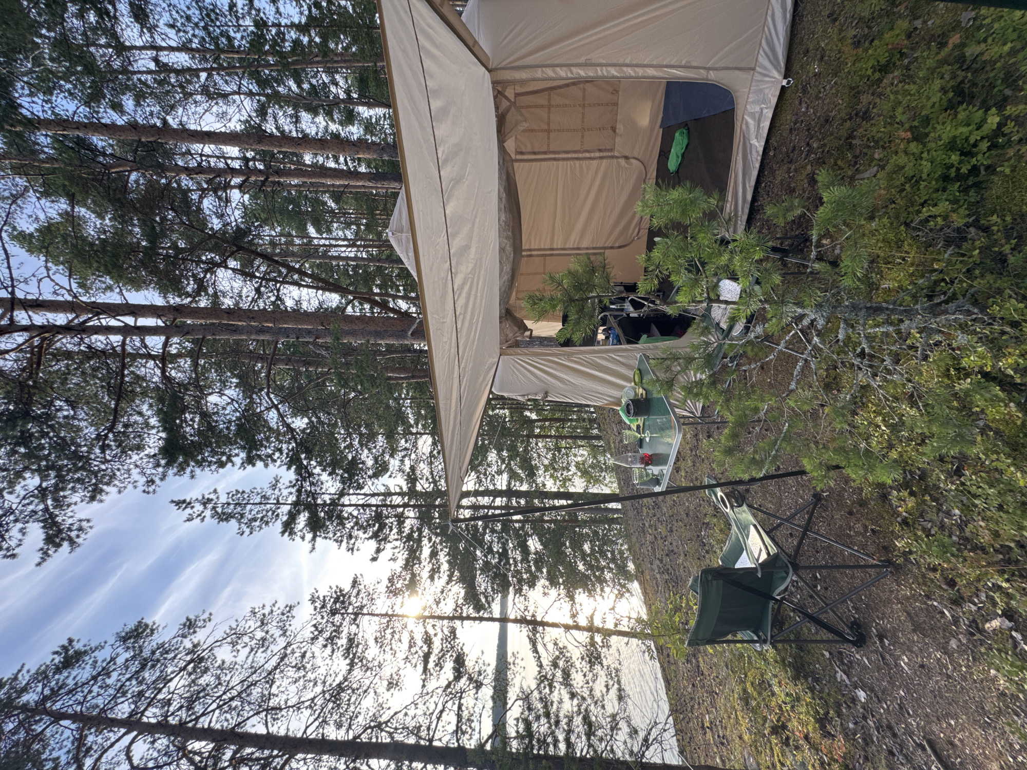A campsite is set up on a wooded lakeshore. A large, tan tent with an extended awning is visible, with a green sleeping bag and blue mat laid out inside. A small foldable table stands in front of the tent, set with a bottle of water, two green-stemmed glasses, and what appears to be a small bag of red berries. A green folding chair sits next to the table. The campsite is situated among tall pine trees on a slightly sloping, mossy terrain. In the background, a calm lake reflects the sunlight, which is breaking through the trees and clouds. The overall scene suggests an outdoor recreational setting in a natural environment.