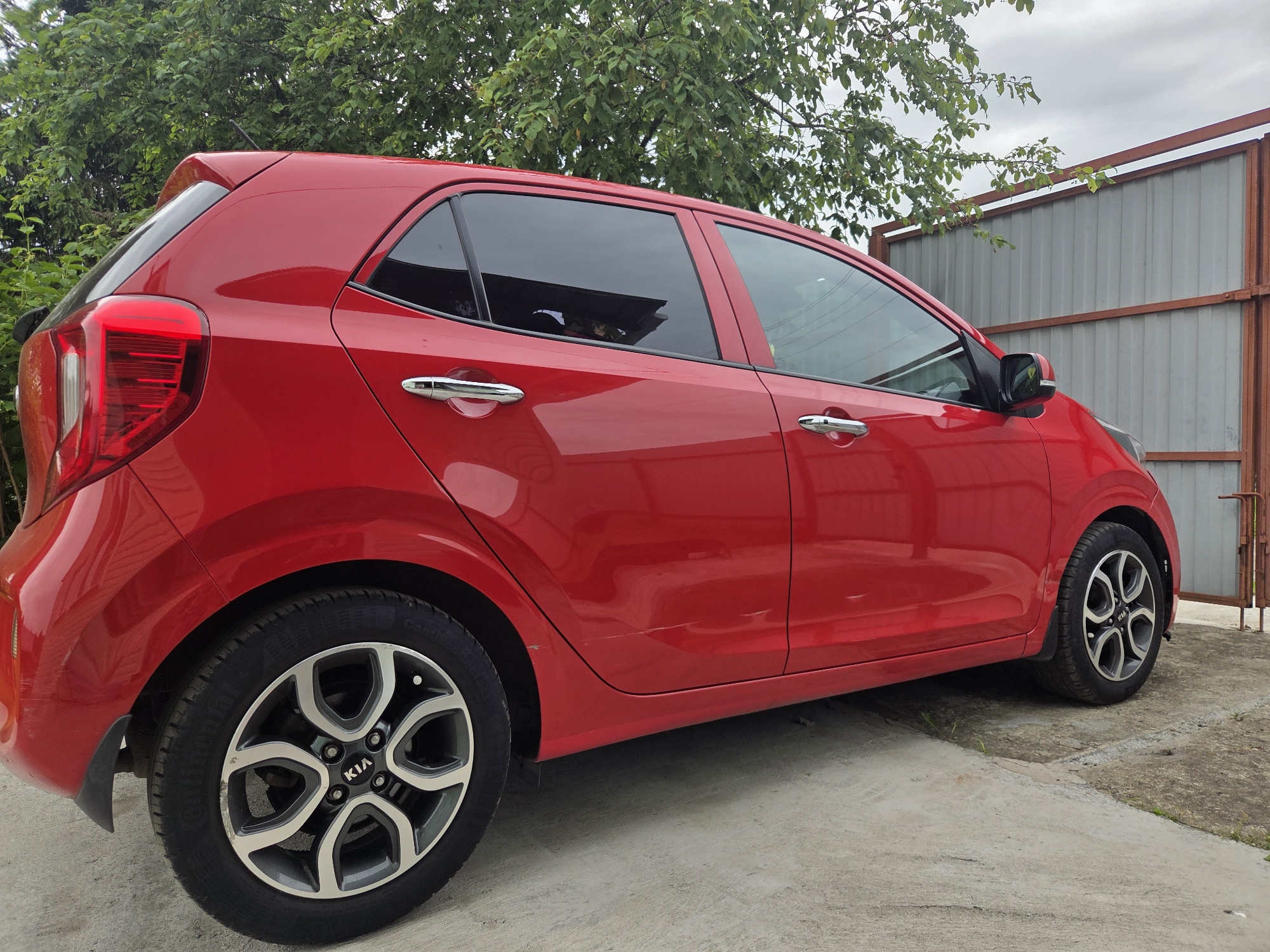 A red Kia Picanto is parked on a concrete surface in an outdoor setting, possibly a yard or a parking area, with a corrugated metal fence in the background and green foliage from trees above. The car is viewed from the rear passenger side, showcasing its side profile. The vehicle's windows are tinted, and its chrome door handles are visible. The tires have silver and black alloy wheels with the "KIA" logo clearly displayed on the front wheel. The car appears to be in a residential or semi-rural area, as suggested by the fence and the natural greenery. There are no people visible in the image.