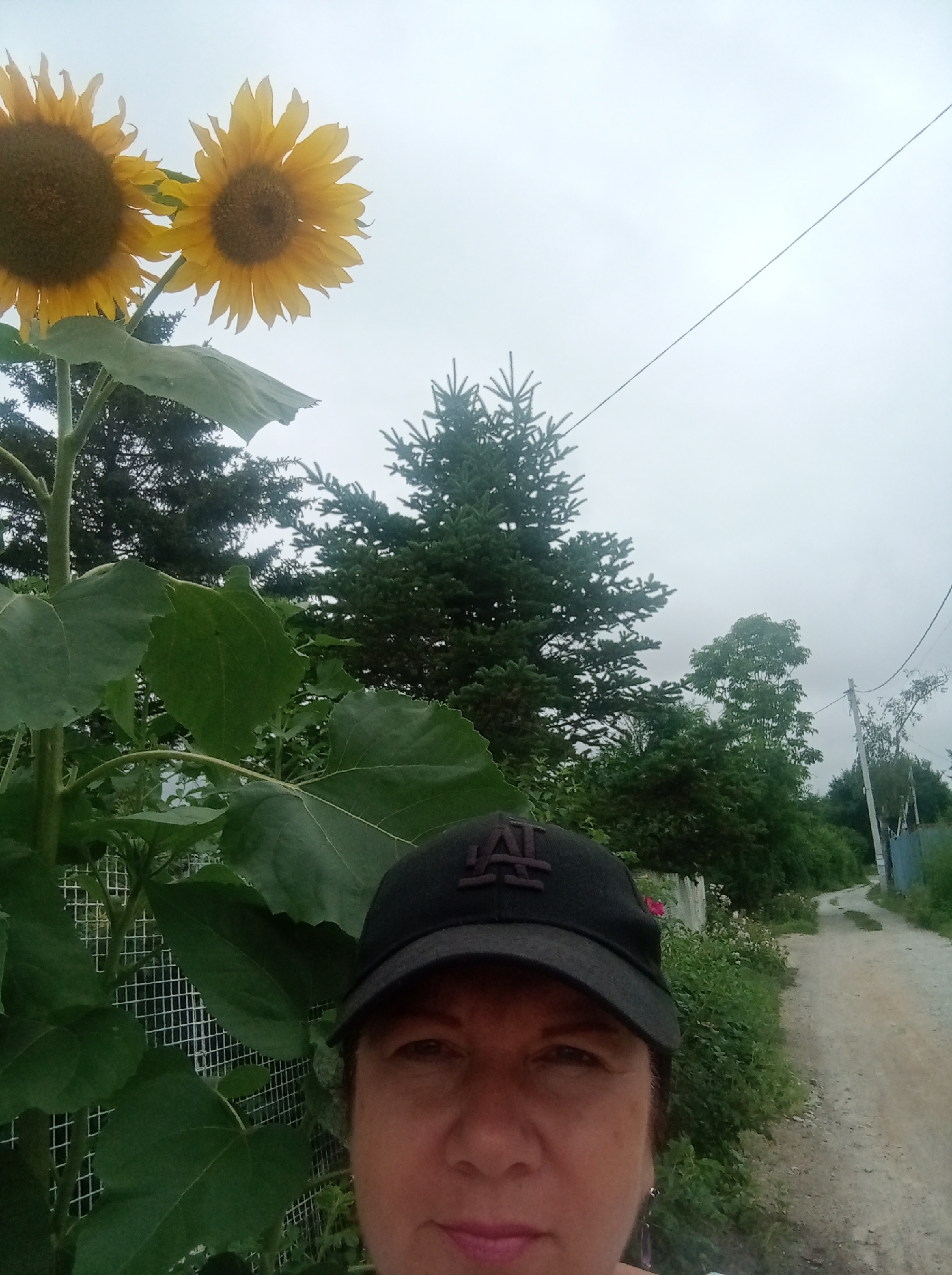 The image captures a selfie of a woman with brown hair and a dark baseball cap, taken outdoors. She is positioned in the foreground, with her face slightly turned towards the camera. Behind her, two large sunflowers with yellow petals and brown centers are prominently displayed, with their large green leaves and thick stalks visible. The background reveals a rural or semi-rural setting with lush green trees, including what appear to be fir trees. A dirt road or path runs diagonally through the scene, bordered by vegetation and a light-colored fence or wall. Power lines are also visible stretching across the cloudy sky, suggesting a residential area. The overall atmosphere is casual and natural, with a hint of a garden or countryside location. Given the specific detail requested about Artyom, Russia, it is not possible to confirm this location solely from the visual information within the image.