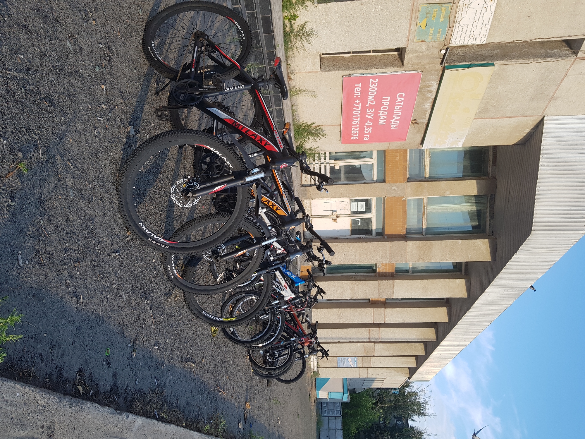 In Kurchatov, Kazakhstan, a row of parked bicycles stands on an asphalt surface in front of a concrete building with large windows and prominent vertical support pillars. A pink banner hangs on the building's facade, advertising items for sale. The bicycles, mostly mountain bikes with visible suspension forks and disc brakes, are lined up closely. The environment appears to be outdoors, with a clear sky overhead and some greenery visible to the right. The overall impression is that of a commercial or public area where bicycles are available for purchase or rent.