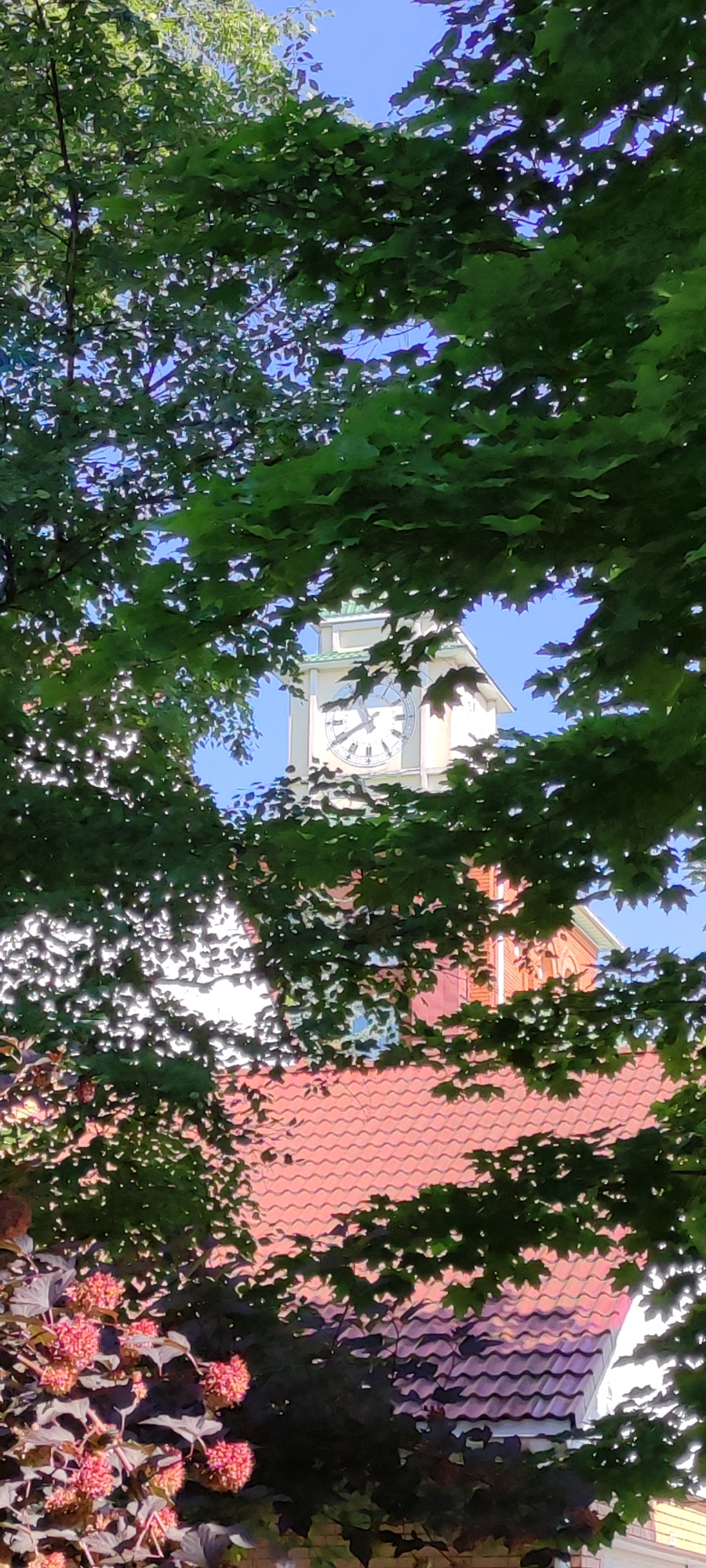 The image captures a view through lush green foliage towards a building with a prominent clock tower and a tiled roof. The clock face is clearly visible, indicating the time. The building's architecture suggests it might be a public or historical structure, possibly a town hall or church. The background is a clear blue sky, and the foreground is dominated by the dense green leaves of trees and some flowering shrubs, suggesting a park or garden setting within the city of Ангелово Клубная Резиденция, Russia. There are no people visible in the image. The lighting suggests it is daytime.