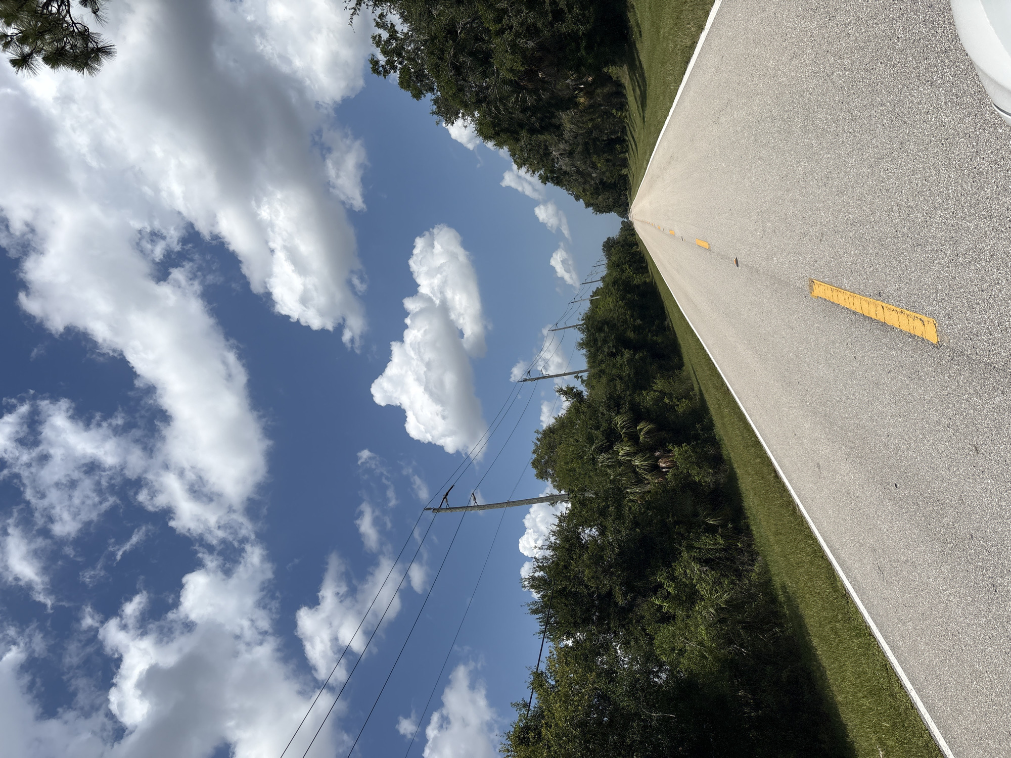 The image shows a long, straight asphalt road with a white line on the left edge and yellow dashed lines in the center. The road is lined with green grass on both sides, which transitions into lush green trees and vegetation. Utility poles with power lines are visible on the left side of the road. The sky is a vibrant blue with scattered white, puffy cumulus clouds. The perspective is from a low angle, looking down the road as if from a vehicle. There are no people or animals visible in the scene. The lighting suggests it is daytime, with the sun casting shadows from the trees. The environment appears to be rural or suburban, with undeveloped land and natural vegetation. There is no specific indication of the city of Bradenton, United States of America.