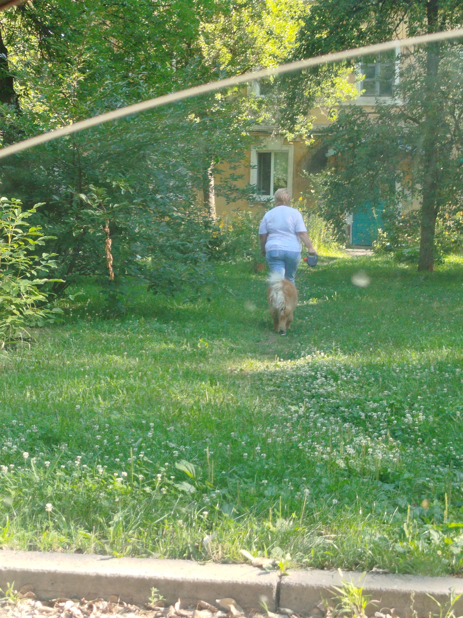 In the city of Kremenchuk, Ukraine, a woman with blonde hair, wearing a light blue t-shirt and blue jeans, walks away from the camera on a grassy path. She is holding a dark red leash in her right hand, which is attached to a light brown, medium-sized dog walking ahead of her. The dog has fluffy fur. They are in a park-like setting with a building visible in the background, which appears to be a residential building with yellow siding and a light blue door. Green trees and bushes surround the area, and the ground is covered in green grass with small white flowers. Sunlight filters through the trees, creating dappled light on the ground. A concrete curb runs along the bottom of the image.