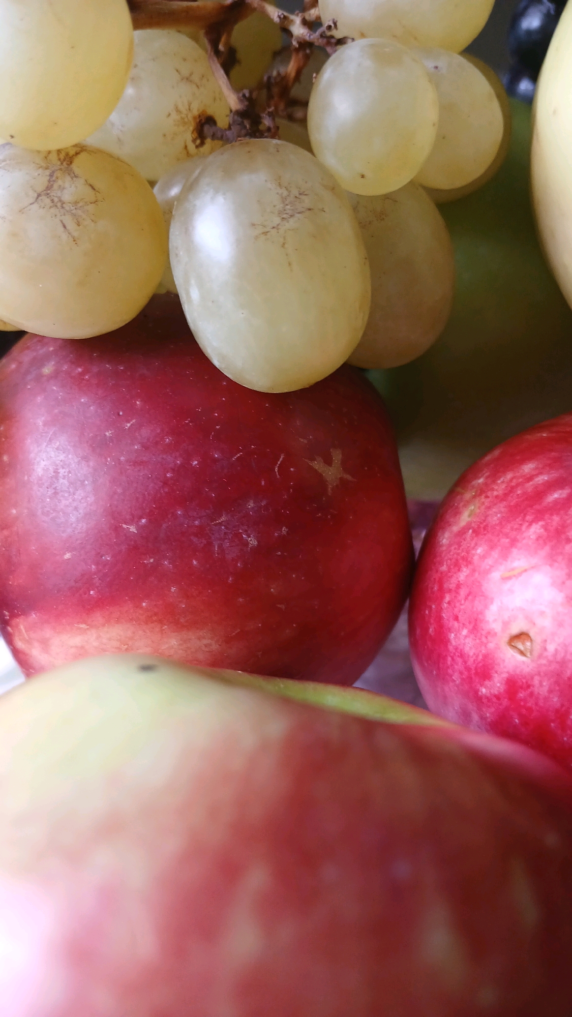 The image is a close-up, vertically oriented, still life photograph of a collection of fruits, predominantly red apples and pale green grapes, against a blurred background that suggests a domestic setting. There are no people or actions depicted. The focus is on the texture and color of the fruits, with the grapes appearing translucent and the apples possessing a glossy sheen. The lighting is soft and appears to be from above, casting subtle shadows and highlighting the contours of the fruits. The overall impression is one of freshness and natural beauty, likely intended for a food-related context such as a recipe, advertisement, or personal collection. There is no information within the image that could indicate its specific location in Visaginas, Lithuania.