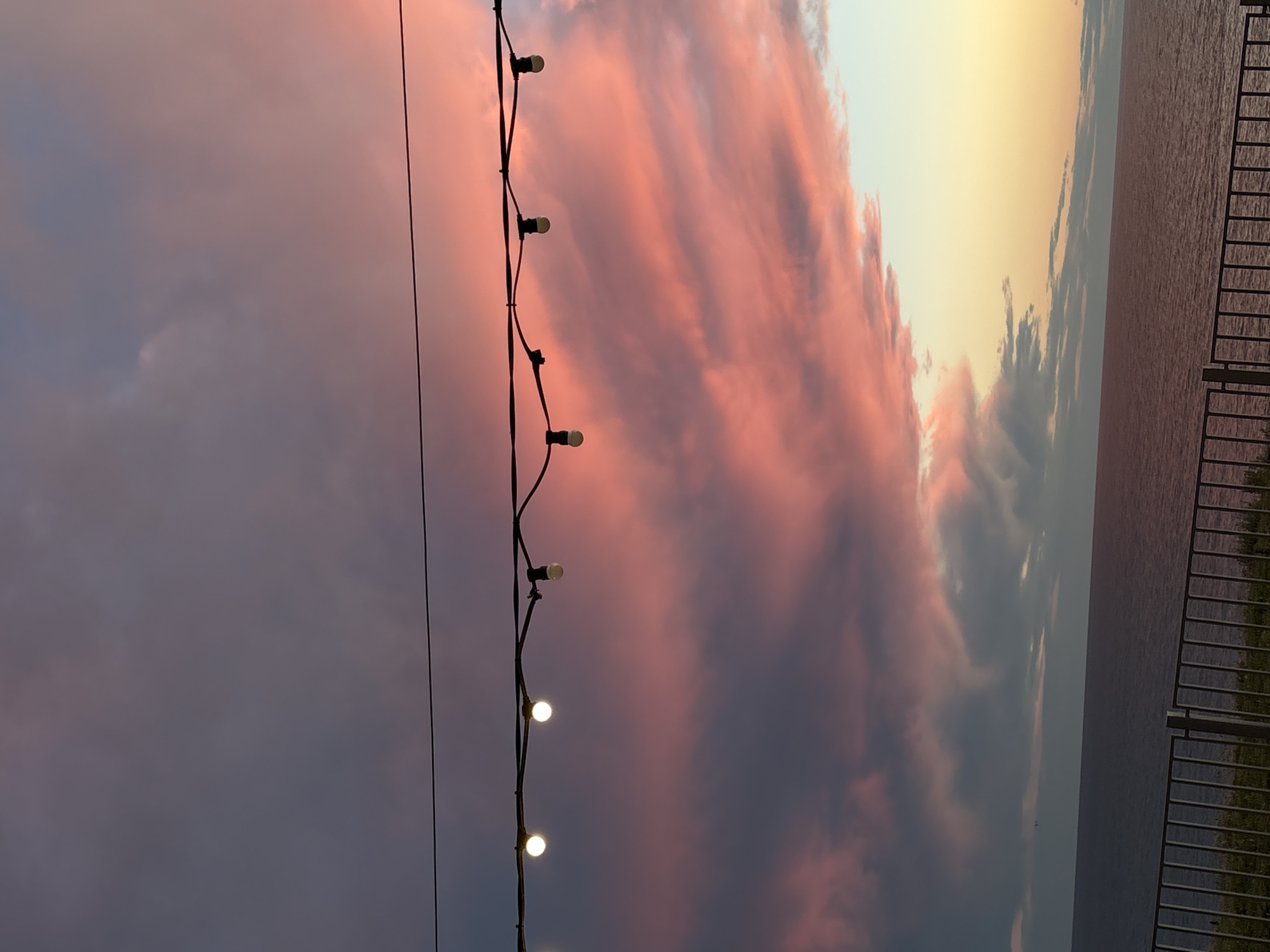 The image, taken in Sennoi, Russia, depicts a vibrant sunset or sunrise over a body of water. The sky dominates the upper portion, filled with dramatic, elongated clouds displaying intense hues of pink, orange, and deep purple, particularly on the left side of the frame. Towards the right horizon, the sky brightens to a pale yellow and orange.
A string of decorative outdoor lights, with several bulbs illuminated, spans diagonally across the mid-ground. These lights are attached to a dark wire and offer a warm glow against the colorful sky. Below the lighter part of the sky on the right, a large expanse of water is visible, its surface showing gentle ripples, suggesting a calm lake or sea. On the far right edge of the image, a dark metal railing or fence is present, indicating an elevated viewpoint or a waterfront promenade. There are no people visible, nor is any text discernable in the image. The scene conveys a serene and colorful moment at either dawn or dusk.