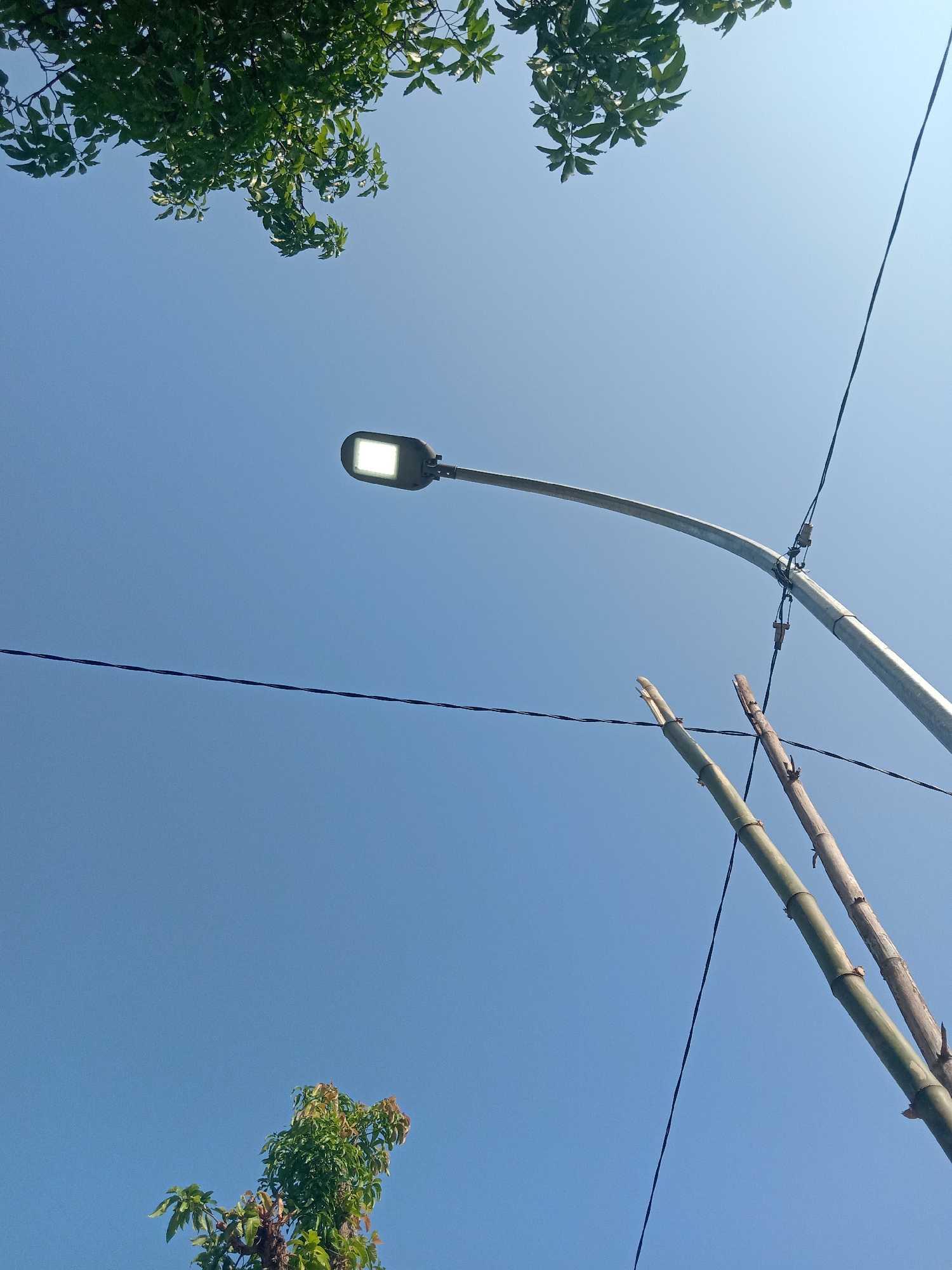 This image shows a clear blue sky with a street light on a metal pole on the right side. There are some electrical wires running across the frame. Two bamboo poles are also visible leaning against the metal pole. In the upper left corner, there are branches of a tree with green leaves. In the lower part of the image, another tree with green leaves is visible. The scene appears to be outdoors, possibly in a residential area or along a street in Stiaji, Indonesia. There are no people or animals visible in the image.