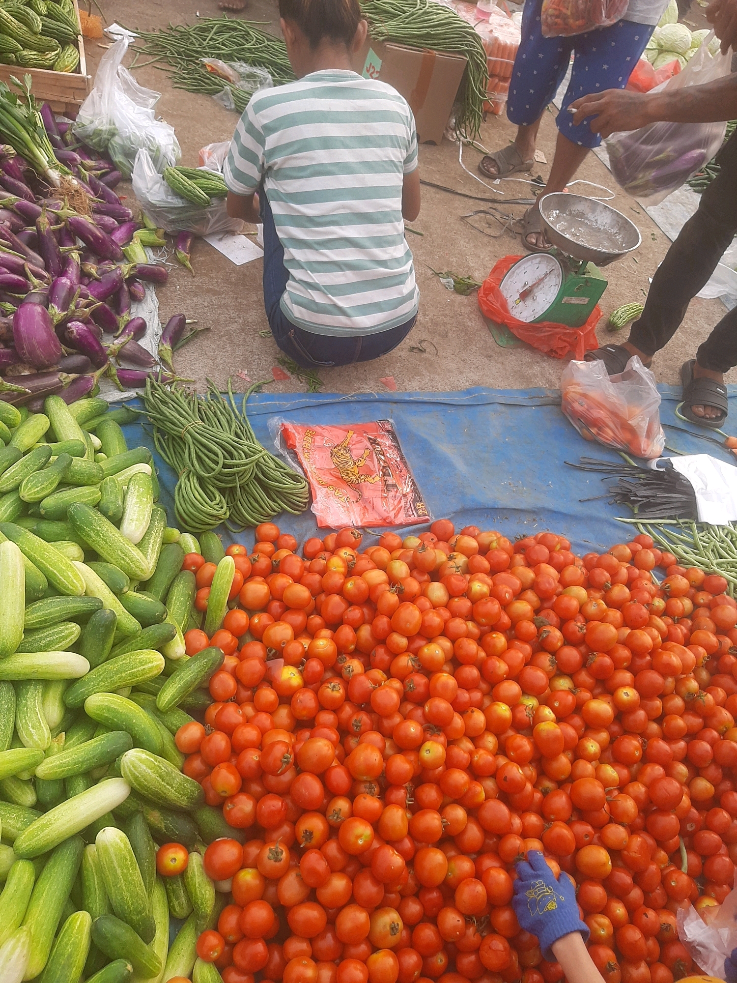 An outdoor market stall in Bekasi, Indonesia, features a variety of fresh produce arranged on a blue tarp. Piles of vibrant red tomatoes are abundant, alongside a large quantity of green cucumbers. Bundles of long, green beans are visible, as well as purple eggplants. In the background, a person wearing a striped t-shirt and dark pants is seated, facing away from the camera, and appears to be interacting with a scale. Another person, whose legs are visible, stands near the scale. A third person's gloved hand is reaching into the pile of tomatoes. The ground appears to be paved.