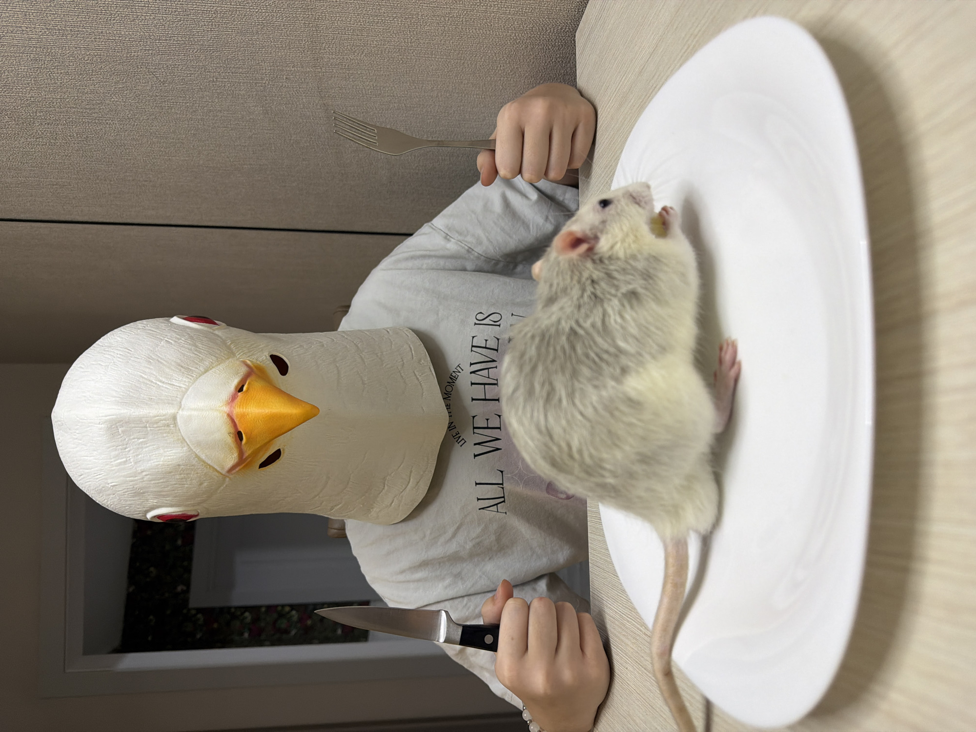 An indoor scene in Dubovaya, Russia, depicts a person wearing a white pigeon mask, seated at a light-colored table. The mask features red eyes and an orange beak. The individual is wearing a light-colored t-shirt with partial text "LIVE IN THE MOMENT" and "ALL WE HAVE IS" visible. A white beaded bracelet is on their left wrist. The person holds a silver-bladed kitchen knife with a black handle in their right hand and a silver four-pronged fork in their left hand. On a white oval plate directly in front of the masked individual, a light grey and white domestic rat is positioned. The rat holds a small, yellow item near its mouth, appearing to be consumed. The background features a textured light brown wall on the right and a doorway on the left leading to another room with floral patterned wallpaper.