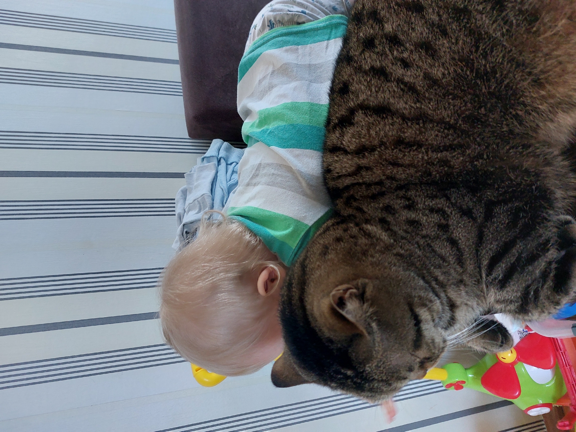 A high-angle indoor shot depicts a young, blonde-haired baby lying on a striped surface beside a large tabby cat. The baby wears a striped shirt with green and white bands. The cat, predominantly brown and tabby, lies close to the baby's head. Part of a brown cushion or piece of furniture is visible in the top left corner. A colorful plastic toy with red and green parts rests near the cat's face. The striped surface appears to be a floor or mat with alternating light and dark stripes. Based on the context, I can't determine if this picture was taken in Chaikovsky, Russia.