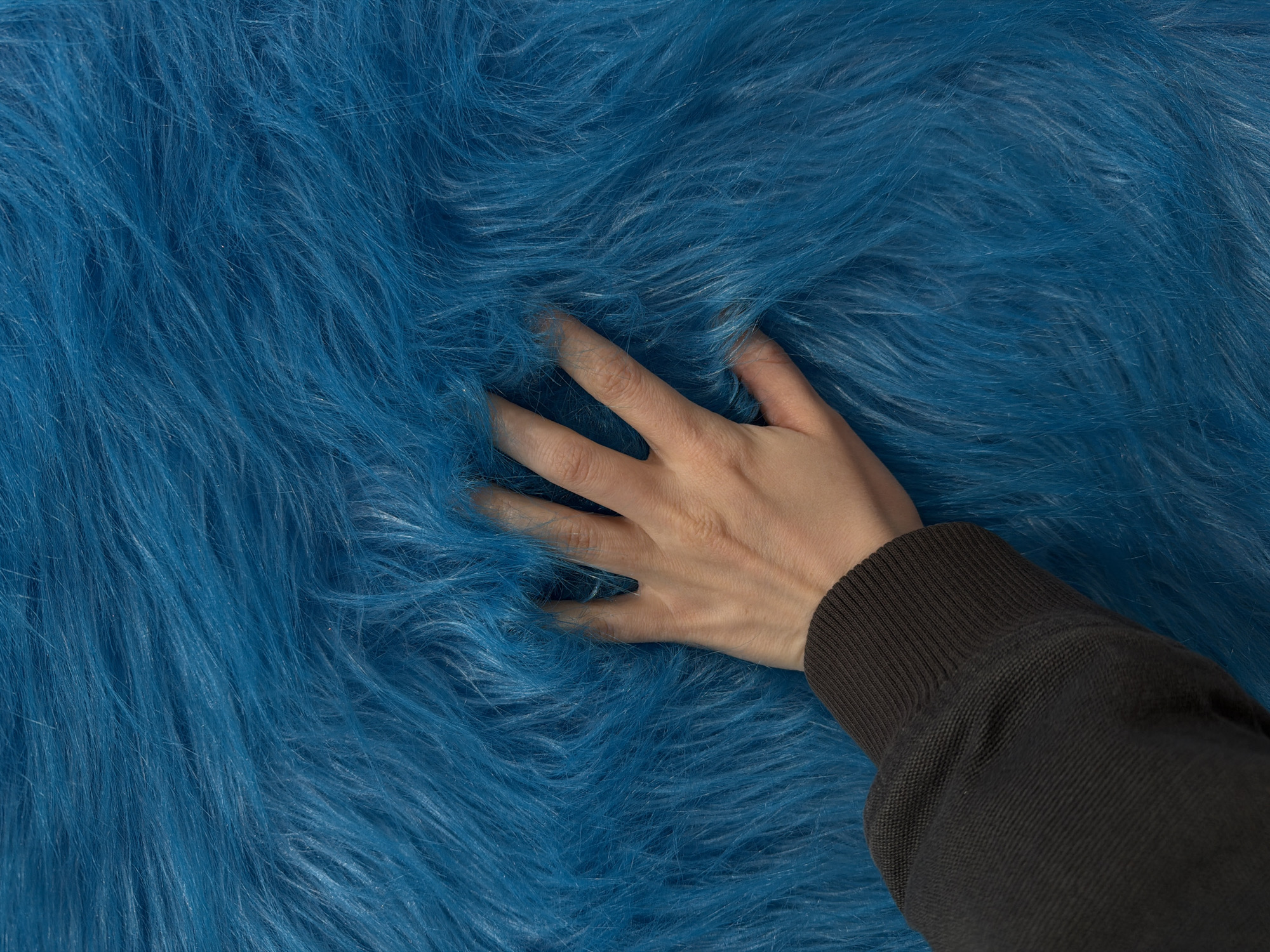 A close-up shot features a hand gently touching a bright blue, shaggy faux fur fabric. The hand is pale-skinned, with long, slender fingers partially submerged in the fur. The lower right corner of the image reveals a dark brown or black sweater sleeve. The setting is indeterminate, location is unknown.