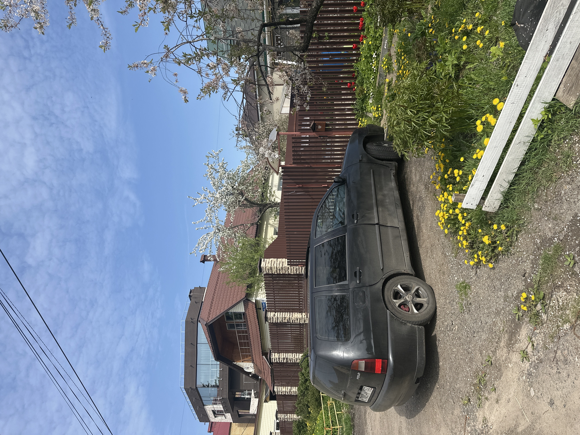 A black Volkswagen Polo car is parked on a gravel surface adjacent to a brown wooden fence. Beyond the fence is a house with a brown roof. The landscape is adorned with yellow dandelions and blossoming trees. The image also includes elements like power lines and a blue sky with light clouds. The license plate of the car reads "C703XM 152", indicating registration in the Nizhny Novgorod region of Russia.