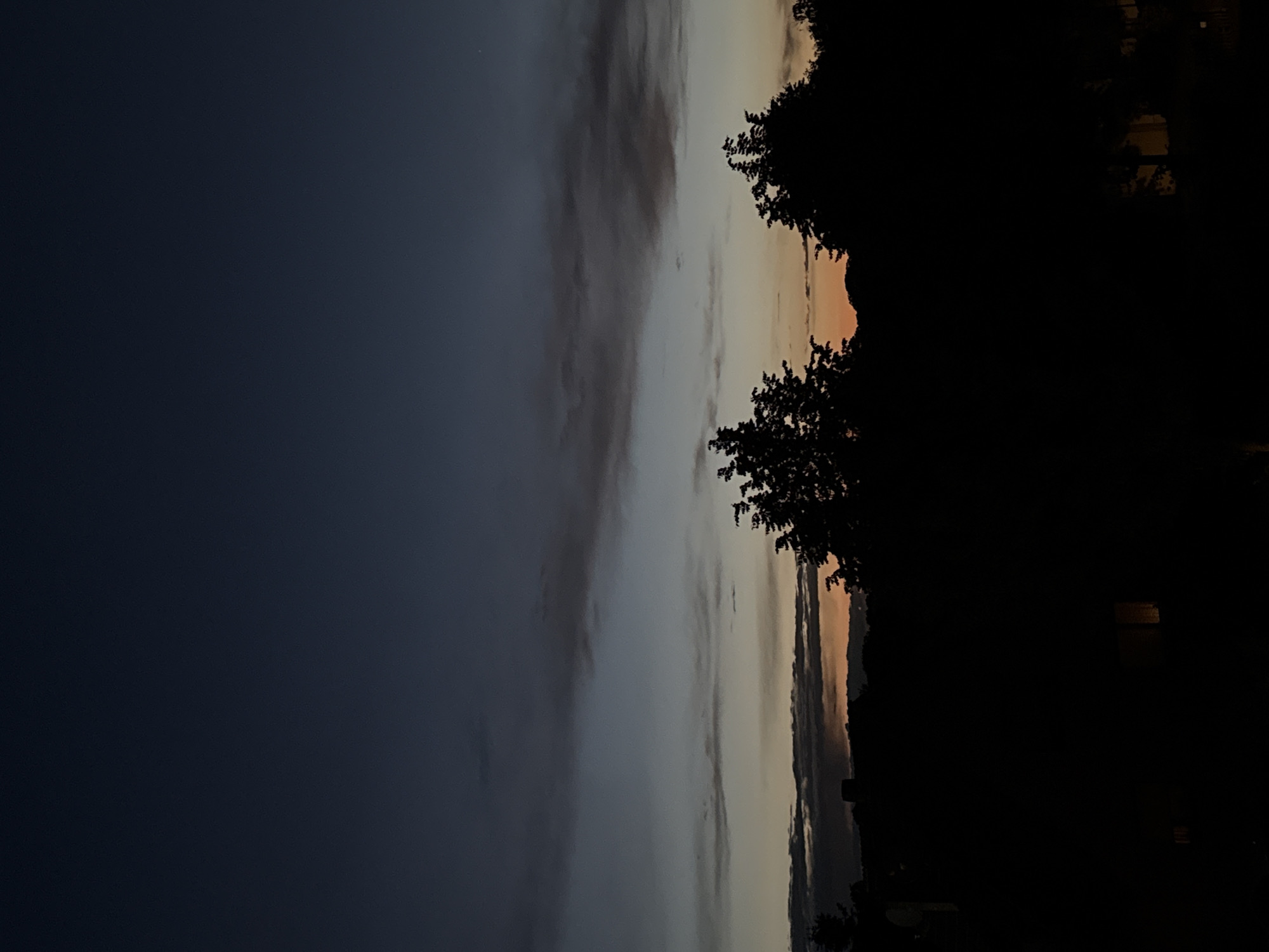 The image depicts a twilight scene with a dark, deep blue sky overhead, transitioning to lighter hues of gray and pale orange closer to the horizon. Wispy, dark clouds are present in the upper half of the sky, with thinner, lighter clouds scattered lower down. Silhouetted against the sky are the tops of several trees, with their branches forming intricate patterns. Below the trees, the dark silhouette of a landscape is visible, suggesting a foreground of vegetation or buildings. There is no indication of the city of Delmenhorst, Germany, or any identifiable landmarks. The image is devoid of people, actions, or interactions. The overall impression is one of a natural landscape at dusk or dawn.