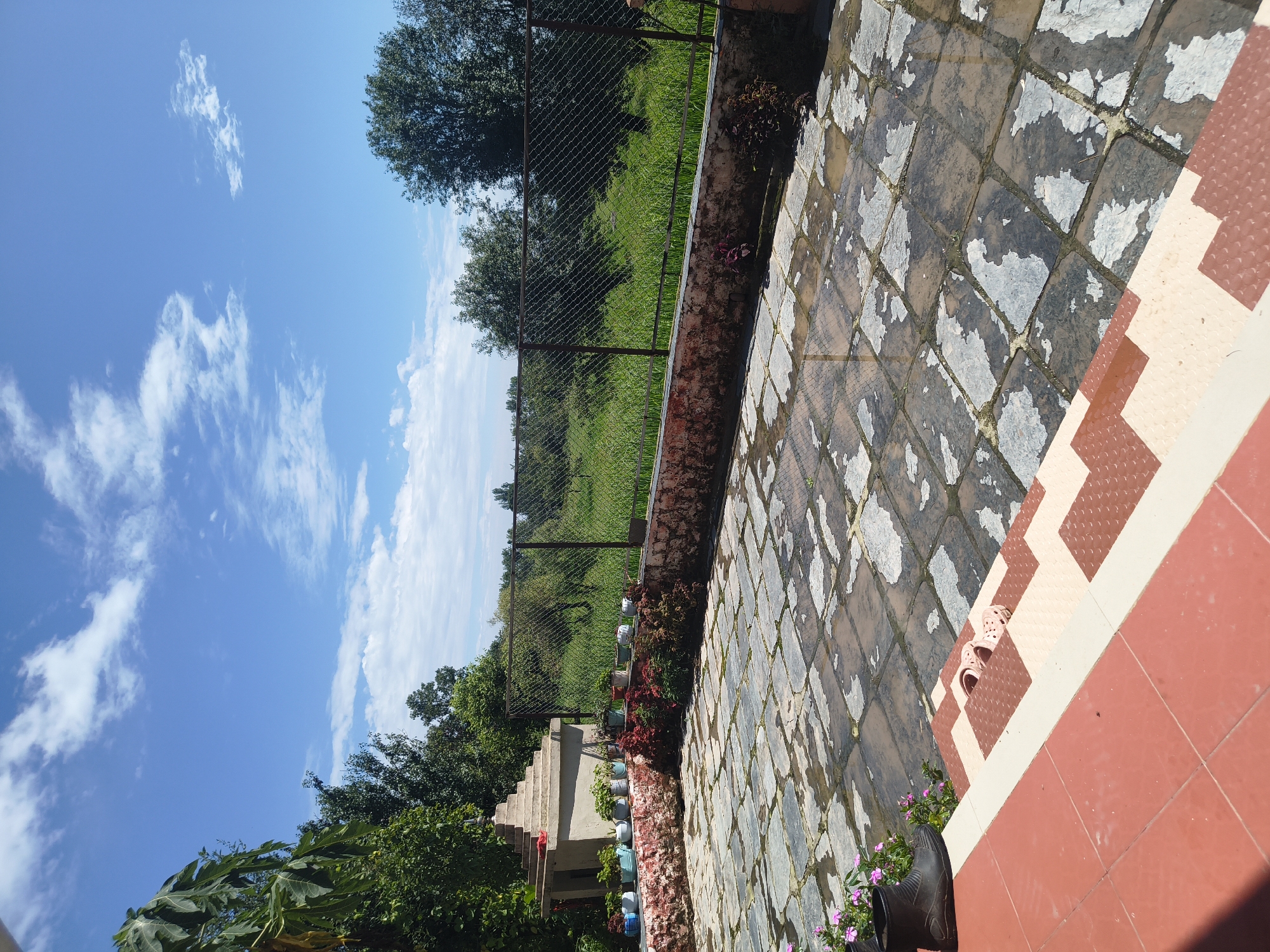 The image depicts a sunny outdoor scene with a clear blue sky and scattered white clouds. In the foreground, there is a tiled patio with some of the tiles wet, indicating recent rain. A red-tiled staircase with white and brown steps leads down from the patio. On the top step of the staircase, a pair of light pink slip-on sandals are placed. To the left of the stairs, on the patio, a black rubber boot is positioned next to some small pink flowers.
Beyond the patio, there is a low wall constructed from rough, reddish-brown stones. Behind the wall, a metal chain-link fence encloses a lush green field with tall grass and scattered trees. In the background, more trees and vegetation are visible, with a hazy horizon suggesting a rural or suburban setting. To the left of the patio, there is a small, tiered, temple-like structure with a red cloth draped over its top. Several potted plants are arranged along the wall in front of this structure. The overall impression is one of a tranquil outdoor space, possibly a backyard or a courtyard, located in the city of Kandi, India.