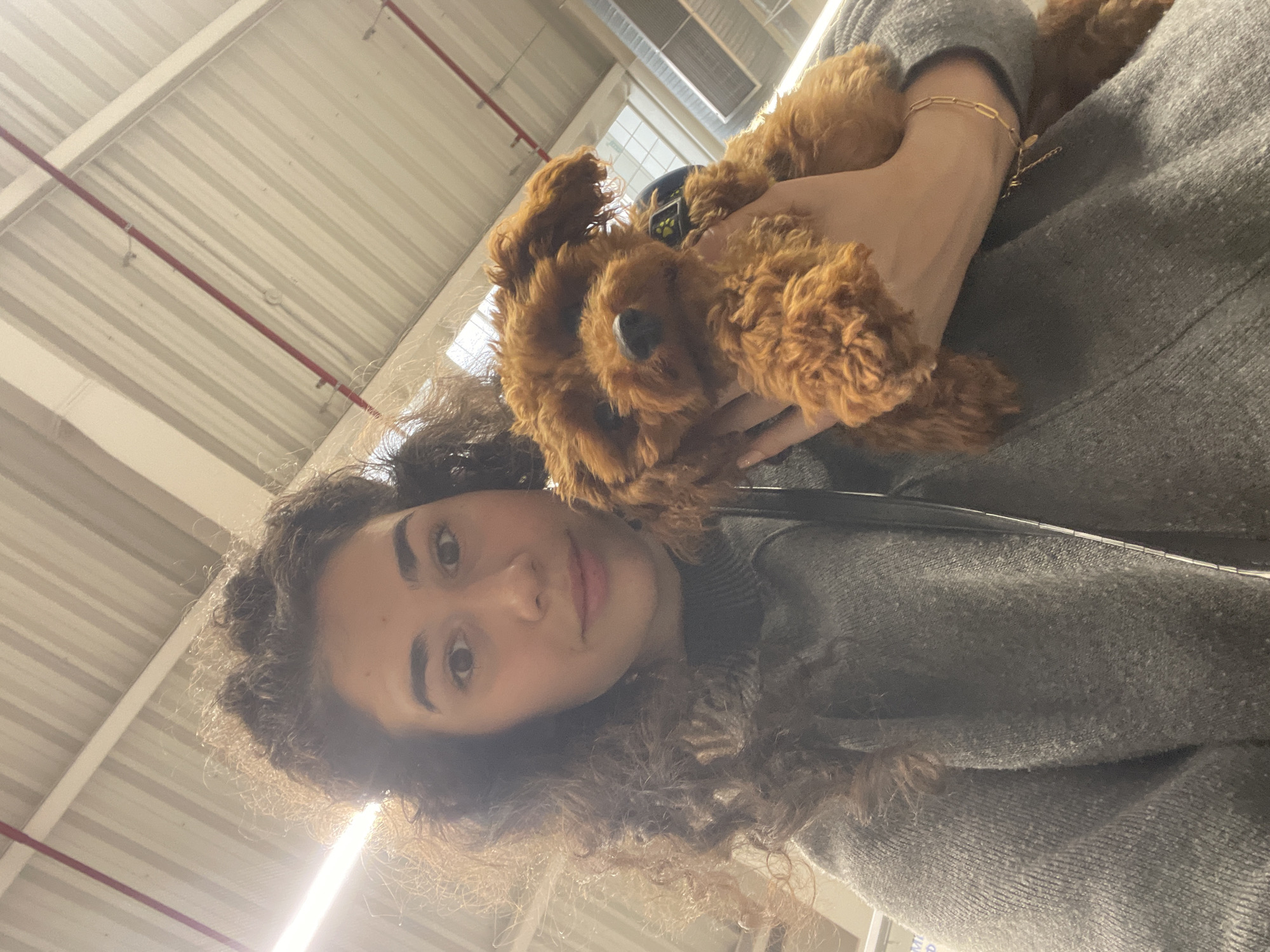A young woman with curly dark hair holds a brown puppy in her arms. She wears a gray sweater. The location appears to be indoors, potentially a store or a warehouse based on the ceiling structure and lighting. There's no identifiable information in the image that would lead to a specific location in Sofia, Bulgaria.