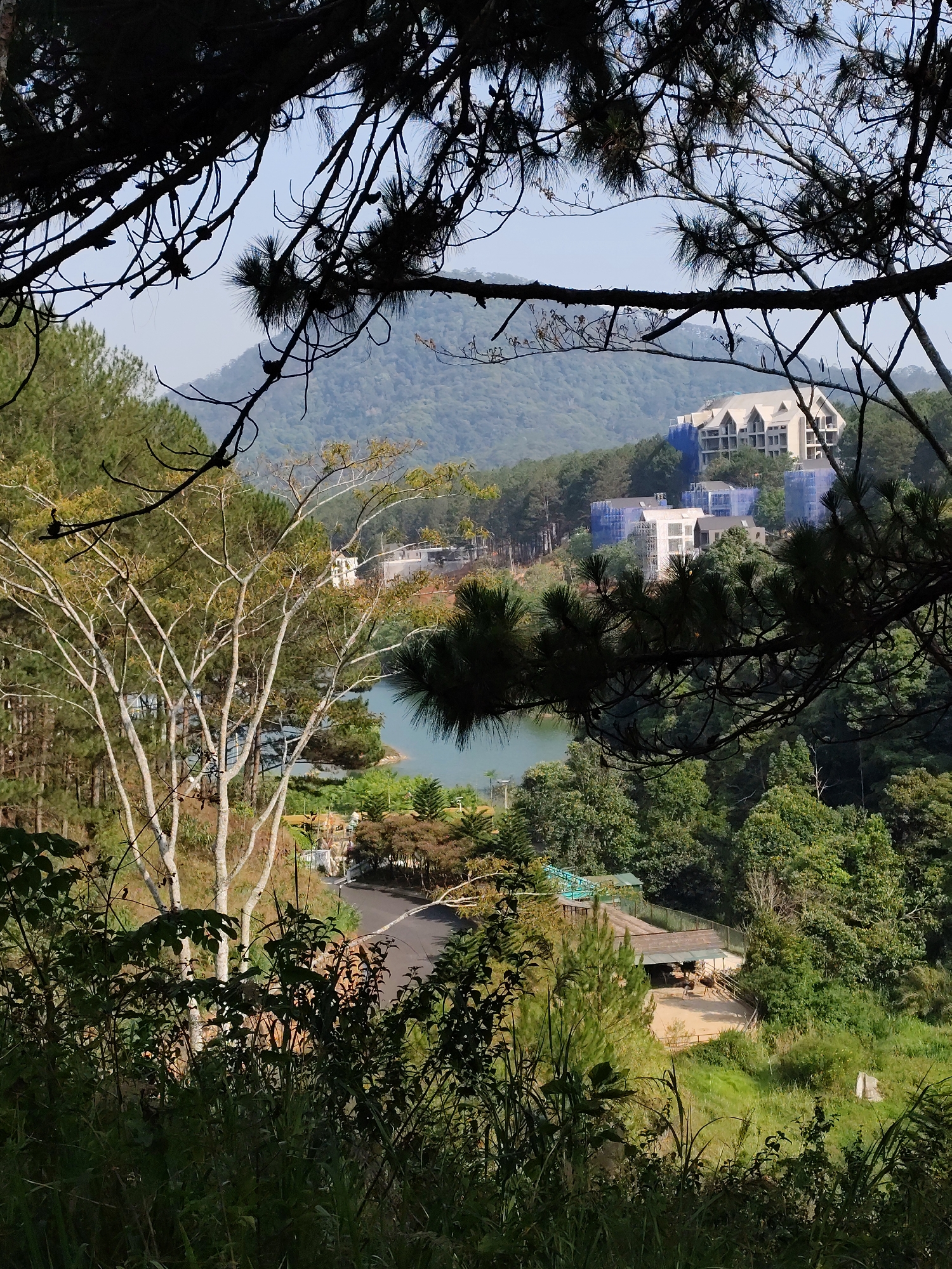 The image depicts a landscape view in Da Lat, Vietnam. In the foreground, there is dense foliage and silhouettes of tree branches. In the midground, a lake is visible, alongside a road and a structure that appears to be some kind of enclosure or station, possibly related to a local attraction or facility. In the background, a hill slopes upward, with a cluster of buildings under construction or renovation, as indicated by the blue tarp or scaffolding. A mountain is visible on the horizon under a clear, bright sky. The scene suggests a blend of natural and man-made environments, capturing the scenic character of the Da Lat region.