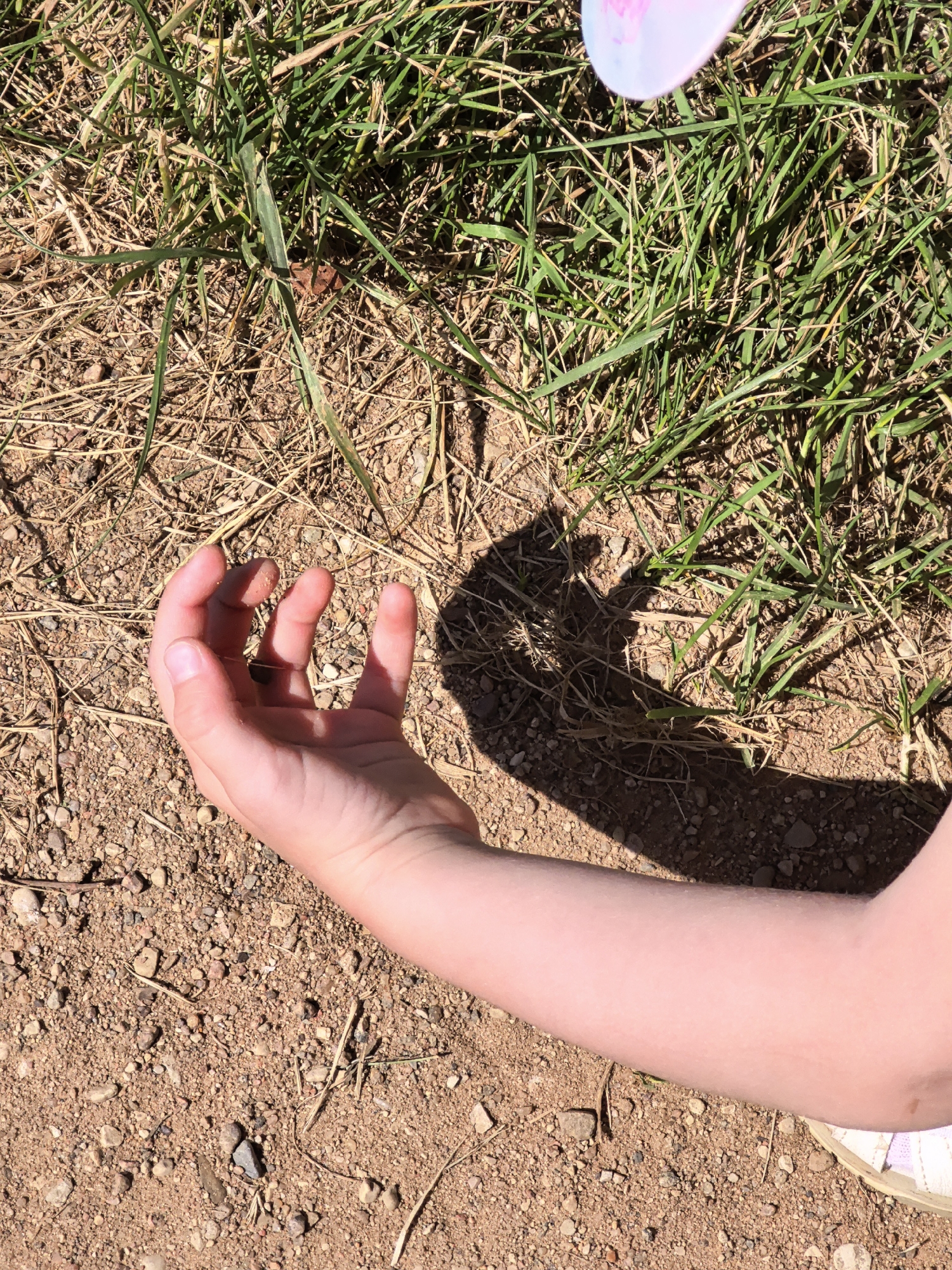 The image shows a close-up view of a child's left arm and hand extended over sandy ground with sparse dry grass. The child's hand is open, with fingers slightly curled. A shadow of what appears to be a butterfly wing is cast on the ground near the hand. The sunlight suggests it is daytime, likely outdoors in a dry, possibly arid, environment given the ground composition and dry vegetation. There is no visible text in the image.