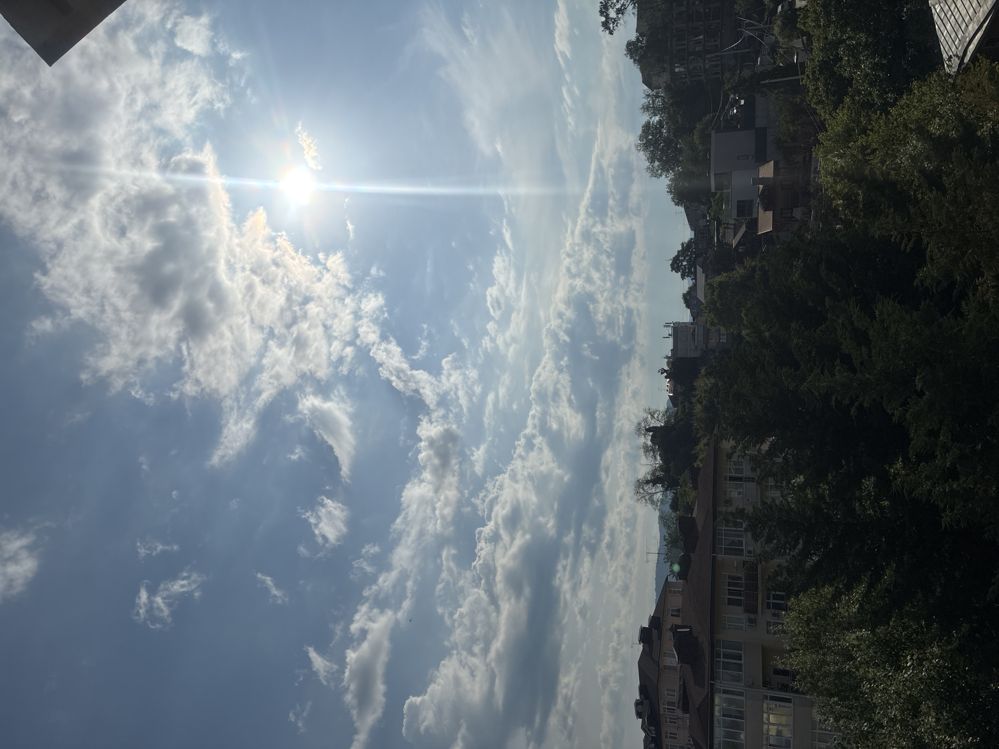 The image captures a view of rooftops and trees with a bright sun shining through scattered clouds in the sky. The setting appears to be an urban area, likely in Sochi, Russia, given the architectural styles of the buildings and the lush green vegetation. In the foreground, dense trees obscure much of the lower part of the scene. Several buildings of varying heights and designs are visible behind the trees, including multi-story residential buildings with balconies and windows, as well as some smaller structures. The sky is a mix of blue and white clouds, with the sun prominently positioned and casting a strong glare. The overall impression is a sunny day in a city with a significant amount of greenery.