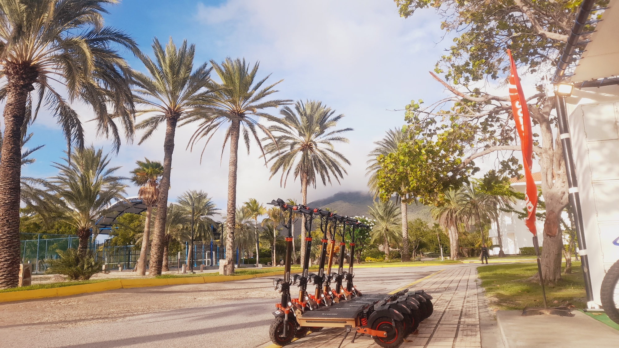 In the city of Pedro González, Venezuela, a row of electric scooters is parked on a paved walkway lined with palm trees. The scooters are orange and black, and they are arranged in a line on a metal cart. The walkway is next to a road, and in the background, there are more palm trees and a mountain. The sky is blue with some clouds. A red flag is attached to a pole on the right side of the image.