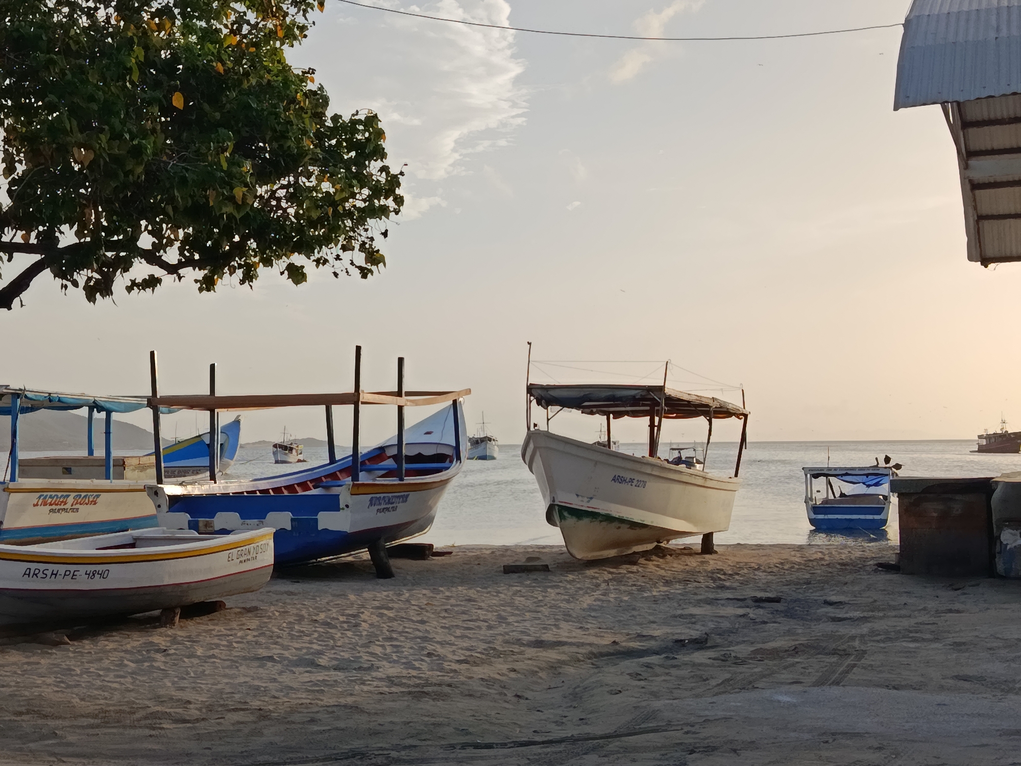 A low-angle, wide shot captures a beach scene in Juan Griego, Venezuela, during the late afternoon or early evening. The sky is a pale, hazy orange and white, with sparse clouds. In the foreground, a sandy beach is strewn with tire tracks. Several small fishing boats are pulled ashore. Two white boats with blue trim are prominently displayed, one with the text "INDIA ROSA PARAPARA" and "ARSH-PE 4840", and another with "EL GRAN YO SOY PARAPARA". Further back, a white boat with a dark canopy is visible, labeled "ARSH-PE 2278". A blue and white boat is partially submerged in the calm water beyond the beach. In the distance, larger vessels, possibly cargo ships, are visible on the horizon. A large tree with green and yellowing leaves arches over the left side of the frame, its branches reaching towards the sky. A corrugated metal roof structure juts into the frame from the upper right corner. The overall atmosphere is tranquil and suggests a working port or fishing village.
