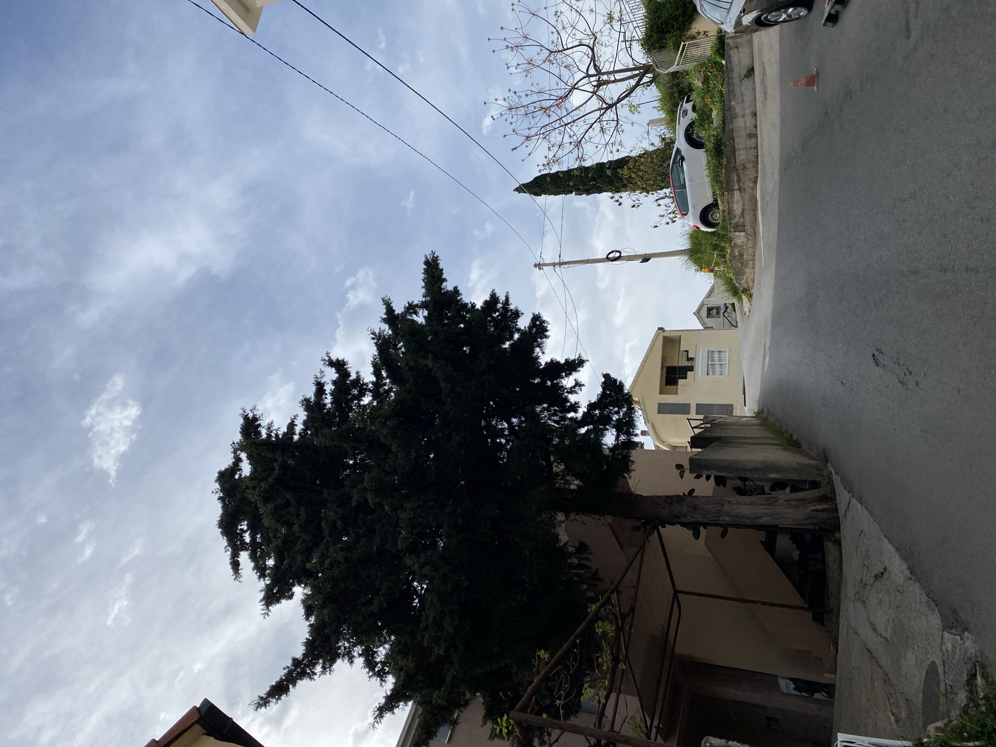 A street scene in Budva, Montenegro, is captured from a low angle, showing a street with parked cars, power lines overhead, and a mix of residential structures. A tall, dark green tree dominates the left side of the frame, partially obscuring a light-colored building with visible windows. To the right, a narrow street ascends, bordered by a concrete wall on the left and a patch of greenery on the right. A white car is parked along the right side of the street, and an orange traffic cone is visible nearby. Overhead, power lines stretch across a sky filled with scattered clouds. The architecture suggests a residential area in Budva.