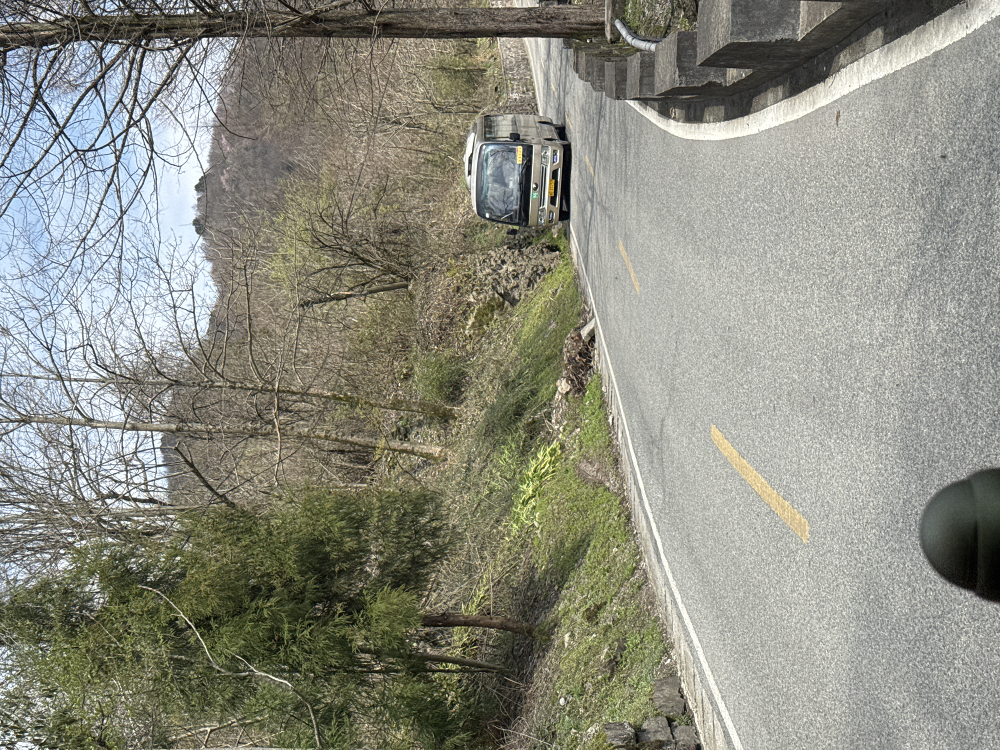 The image displays a two-lane asphalt road curving gently to the right through a mountainous, forested region within Wulingyuan, China. A gold-colored minibus, bearing Chinese license plate 湘G 55769, travels towards the viewer on the left side of the road. The road surface features a broken yellow center line and a solid white line defining its right edge, which abuts a series of gray concrete barriers. To the immediate right of the road, a tall, bare tree trunk is prominent. The terrain to the left of the road consists of a steep, vegetated embankment featuring a low stone retaining wall, interspersed with evergreen trees, green ground cover, and numerous bare deciduous trees. The right side of the road is bordered by a continuous forest of mostly bare deciduous trees ascending a hillside. Distant tree-covered hills are visible under a light blue sky in the background. A dark, curved object, consistent with the top of a helmet, is partially visible at the bottom center of the frame. The scene indicates late winter or early spring conditions. No individuals are visible in or around the bus.